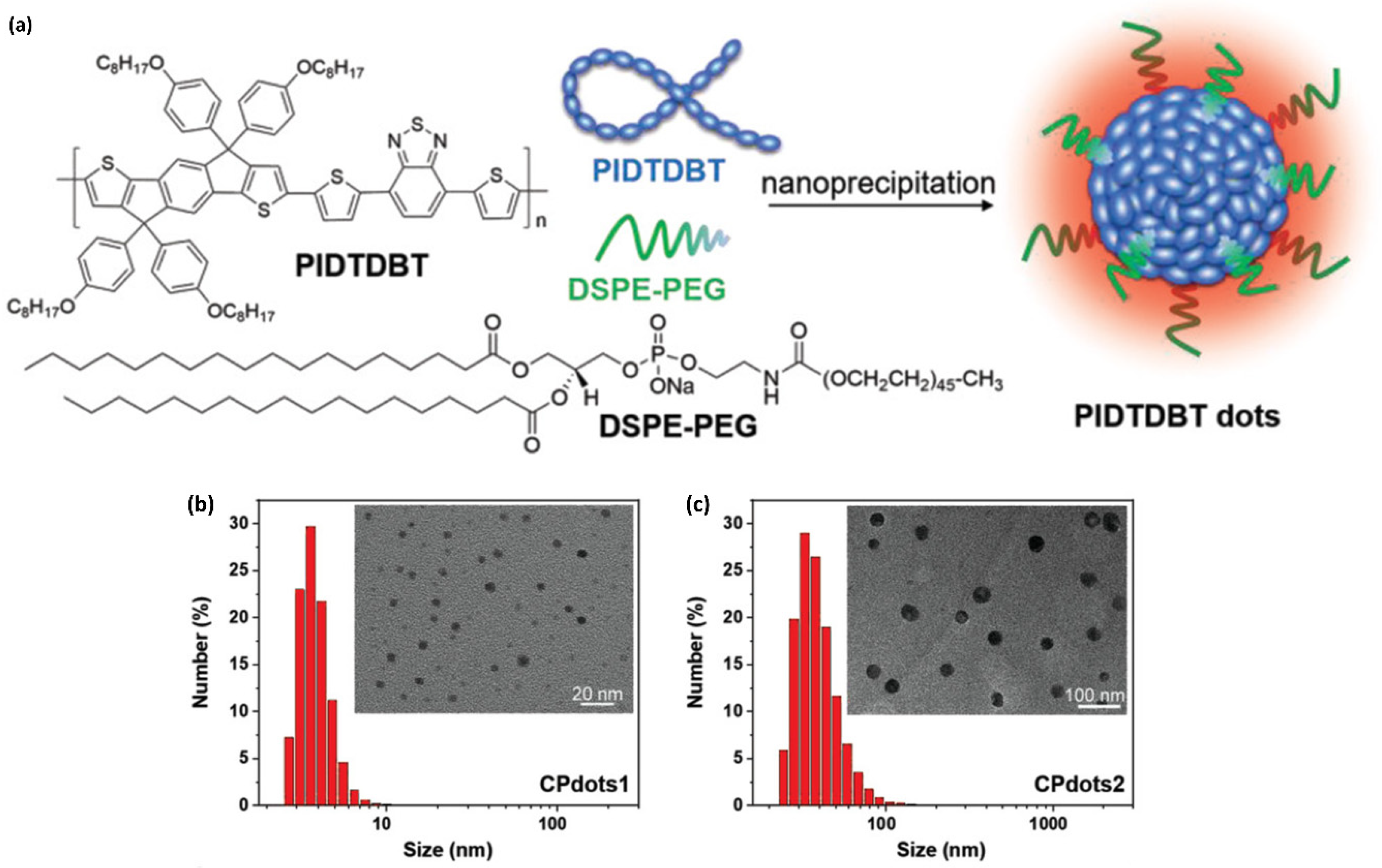 Ijms 23 04949 g020 550