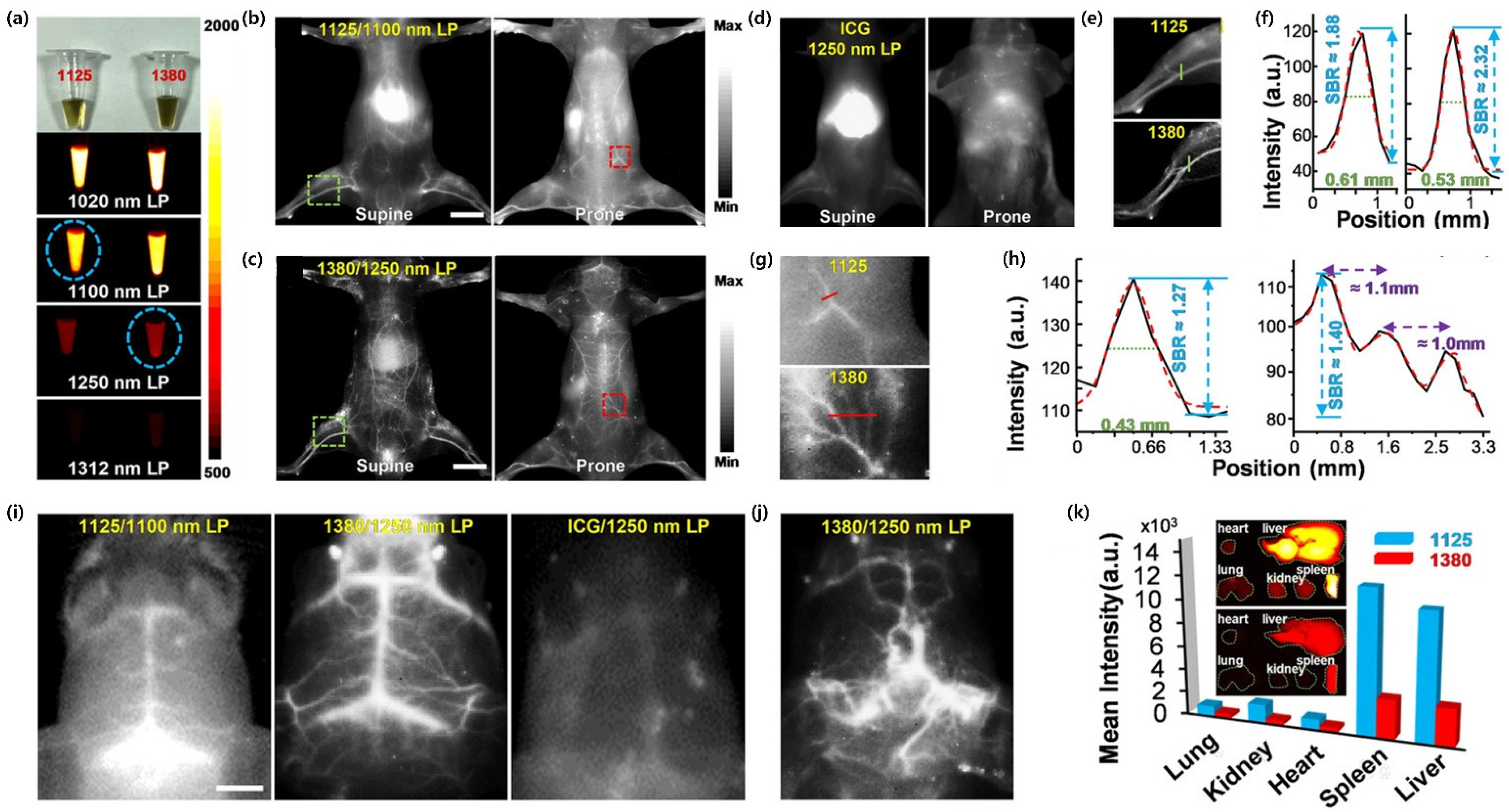 Ijms 23 04949 g021 550