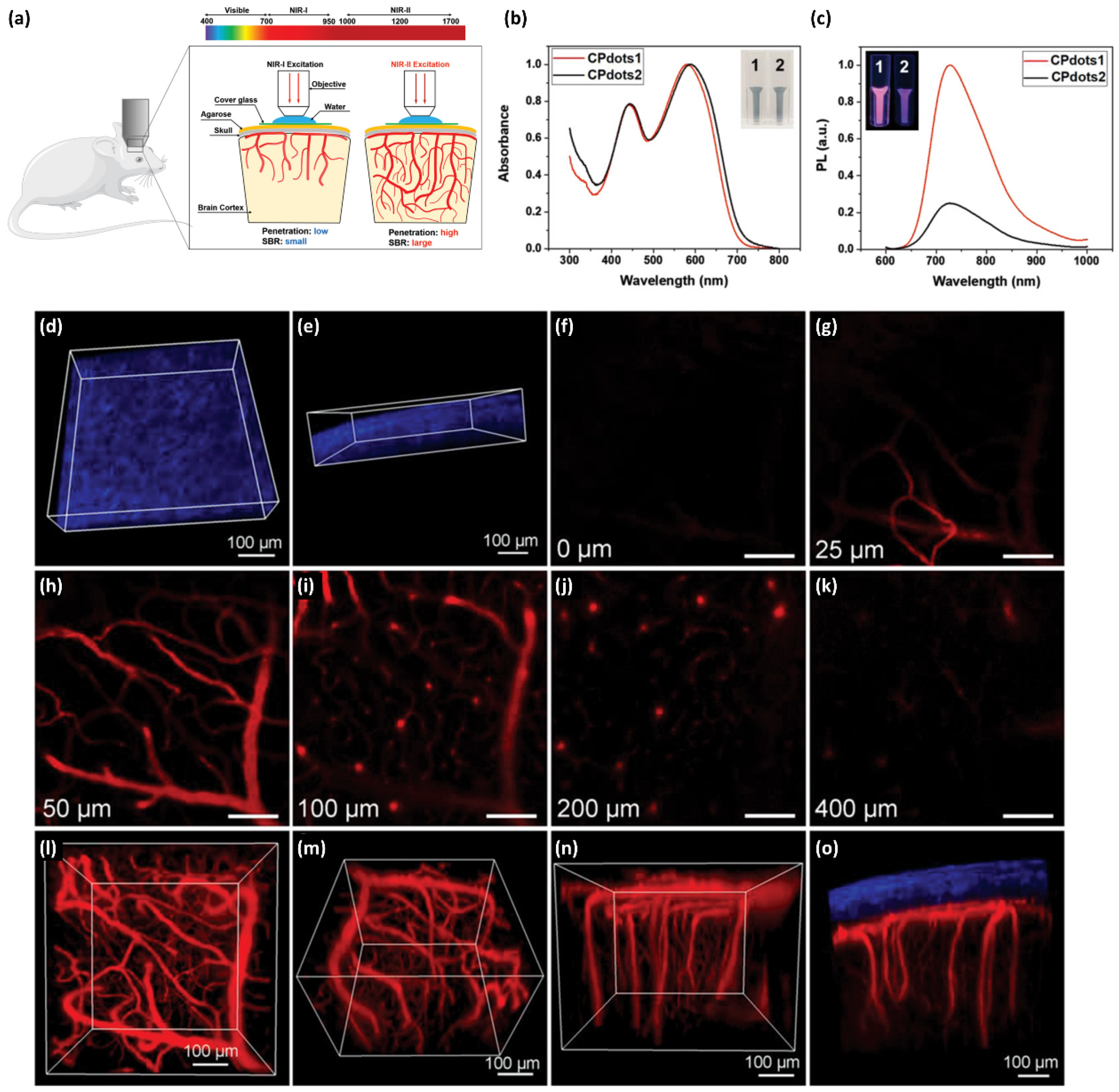 Ijms 23 04949 g022 550