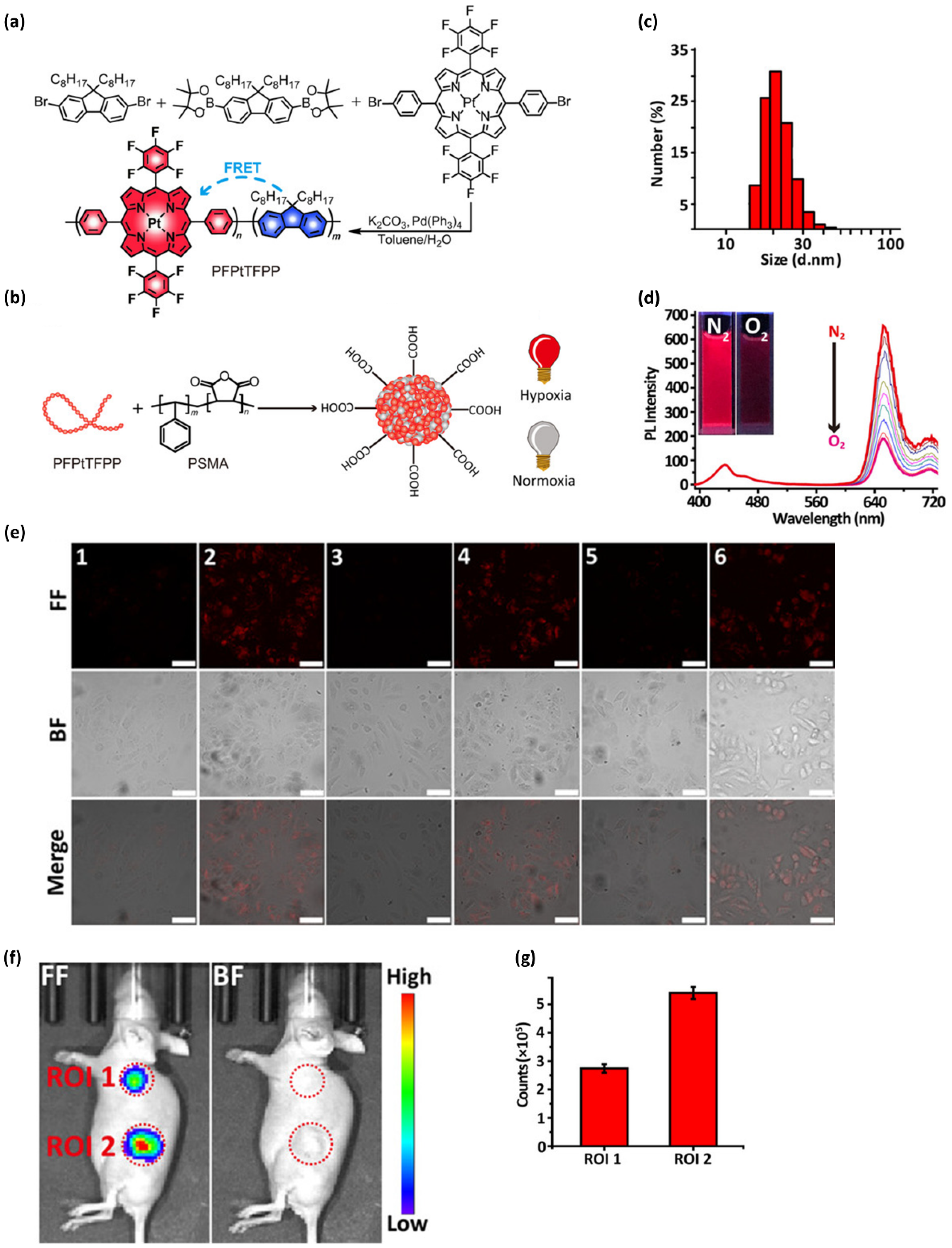 Ijms 23 04949 g023 550