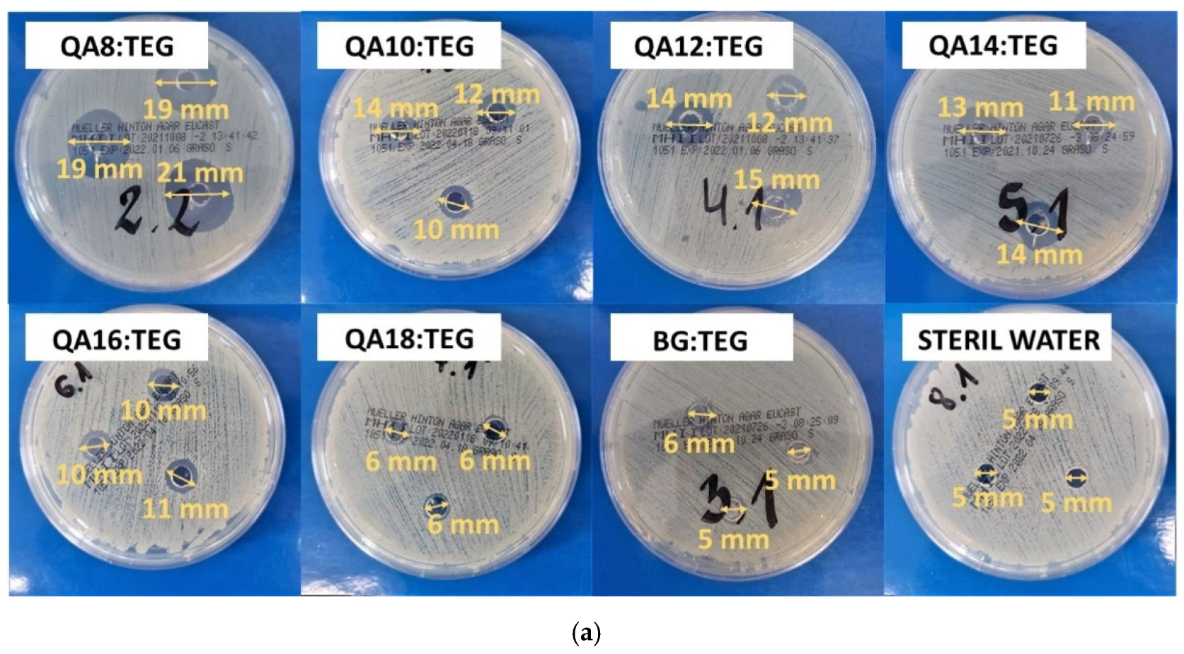 Ijms 23 04954 g007a Ijms 23 04954 g007a