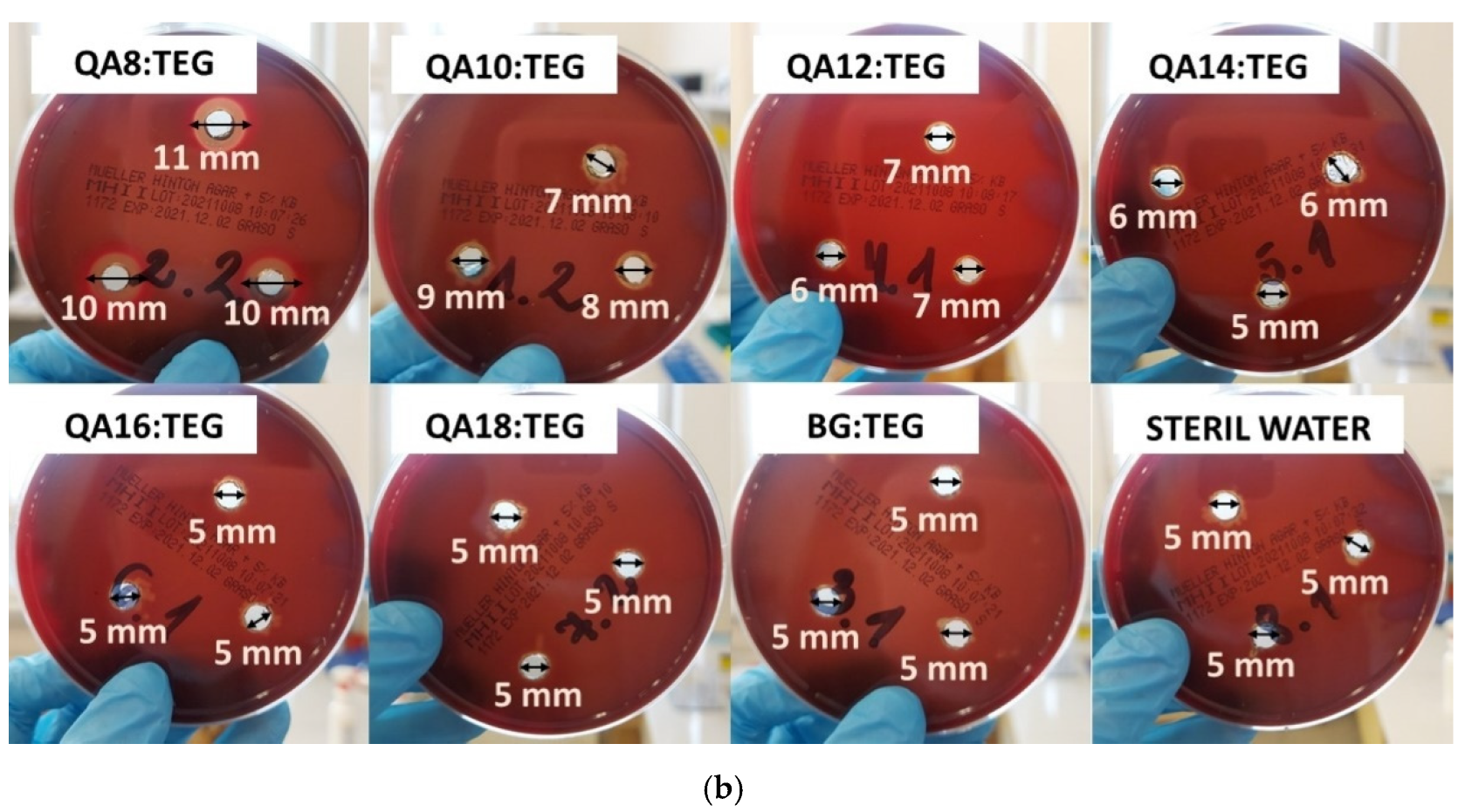 Ijms 23 04954 g007b Ijms 23 04954 g007b
