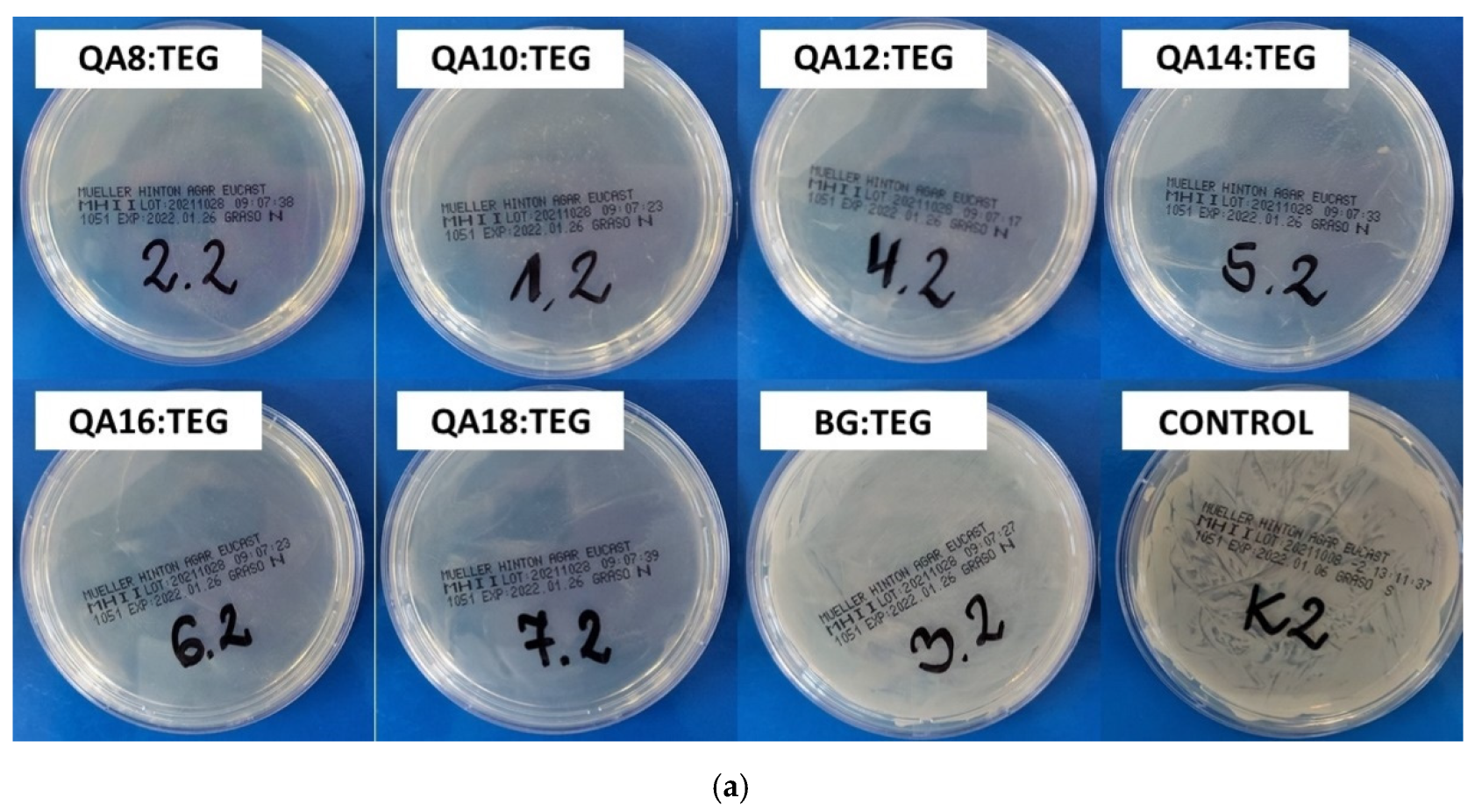 Ijms 23 04954 g008a Ijms 23 04954 g008a