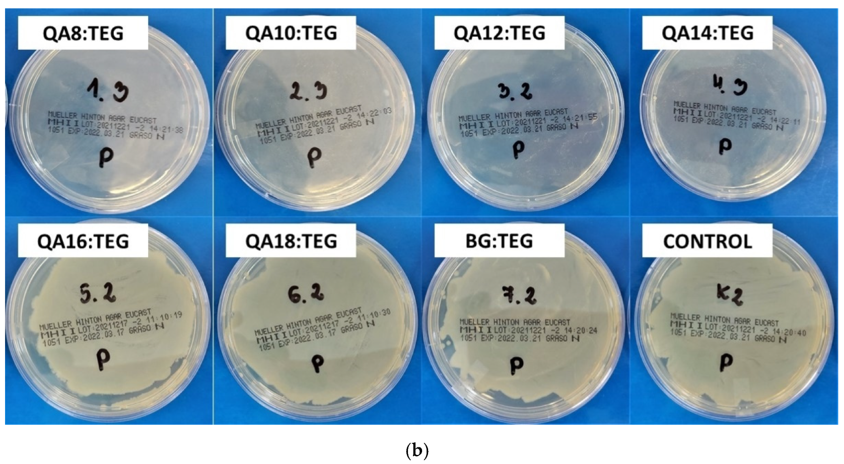 Ijms 23 04954 g008b Ijms 23 04954 g008b