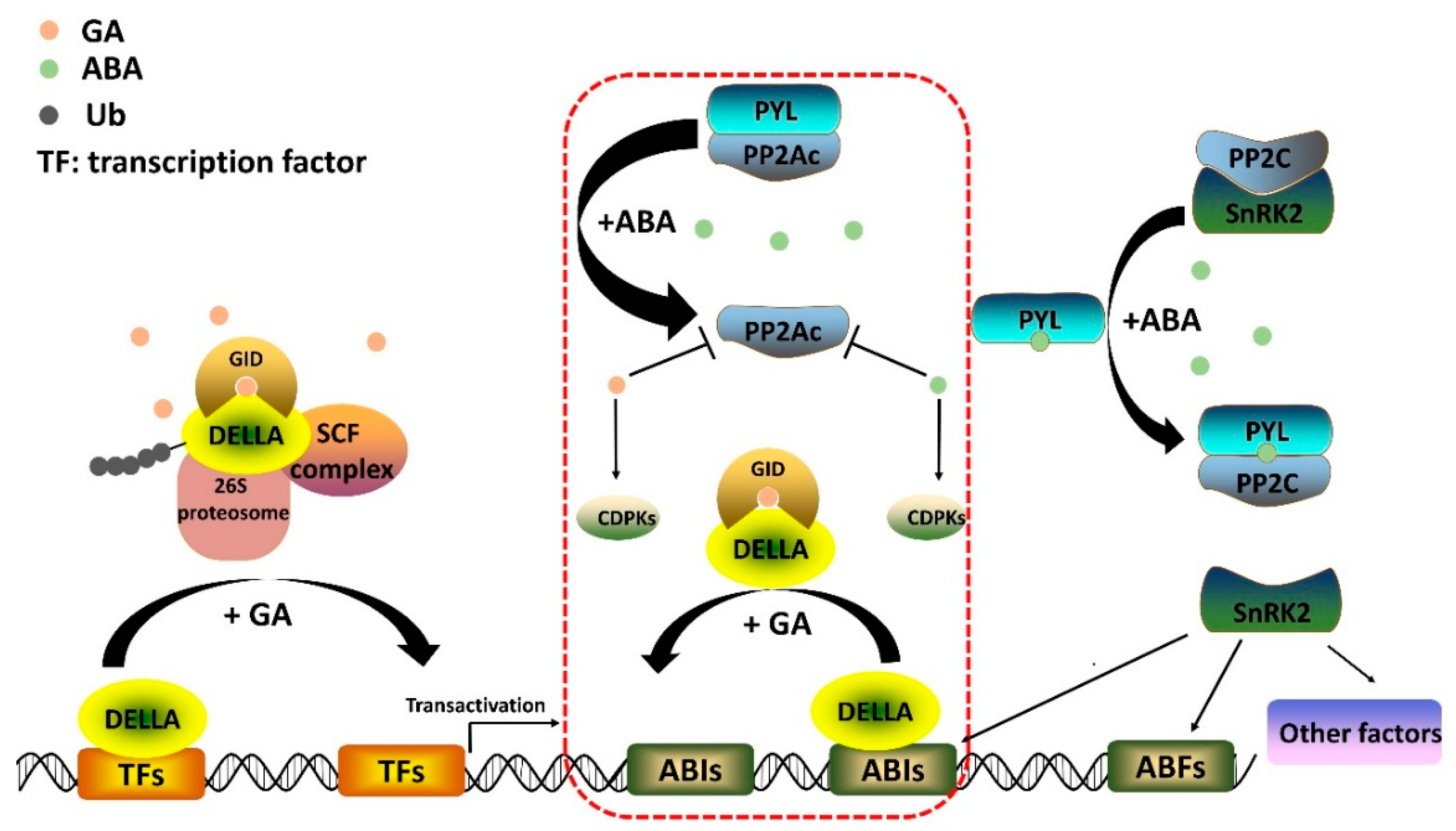 Ijms 23 04955 g002 550
