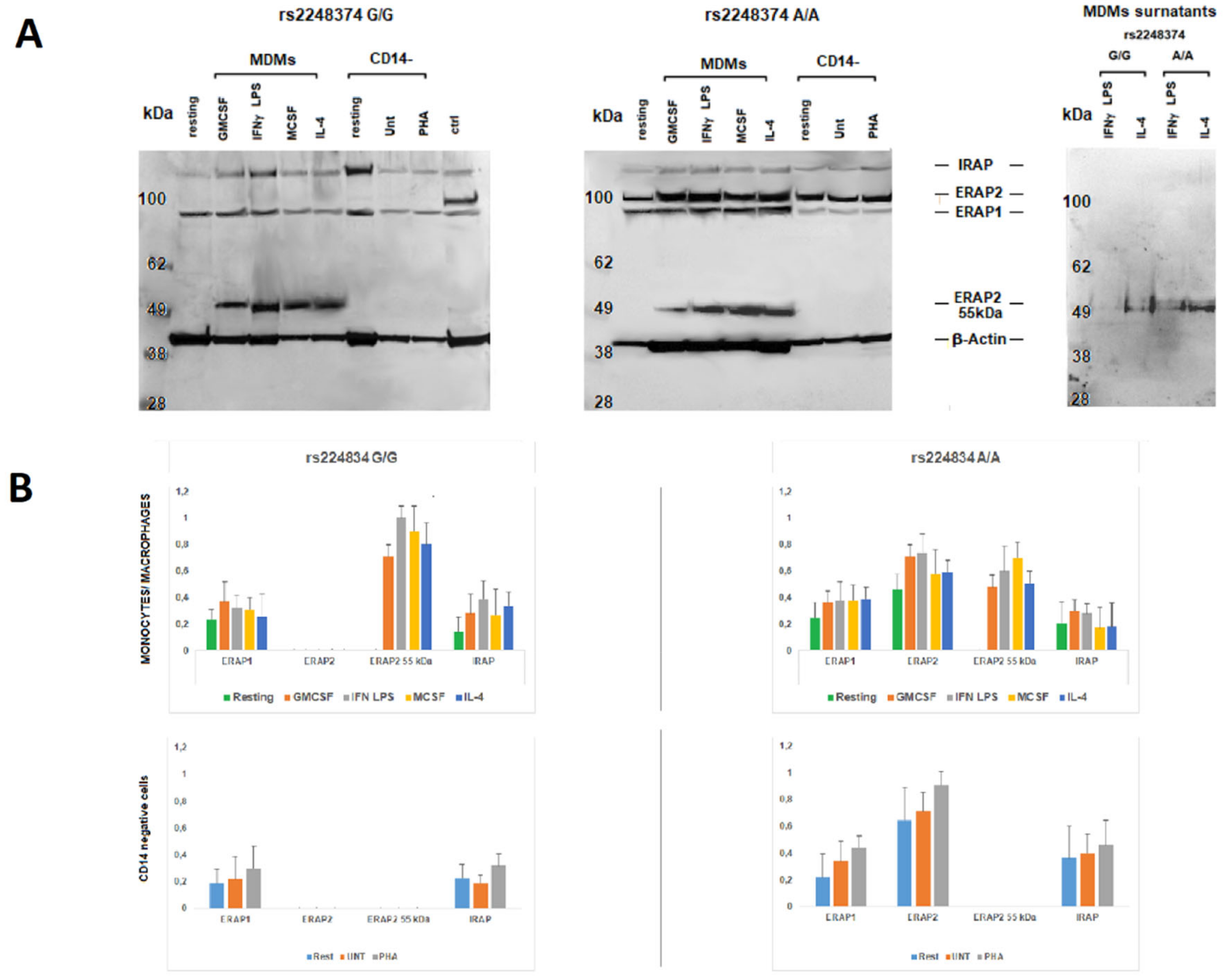 Ijms 23 04961 g001a 550
