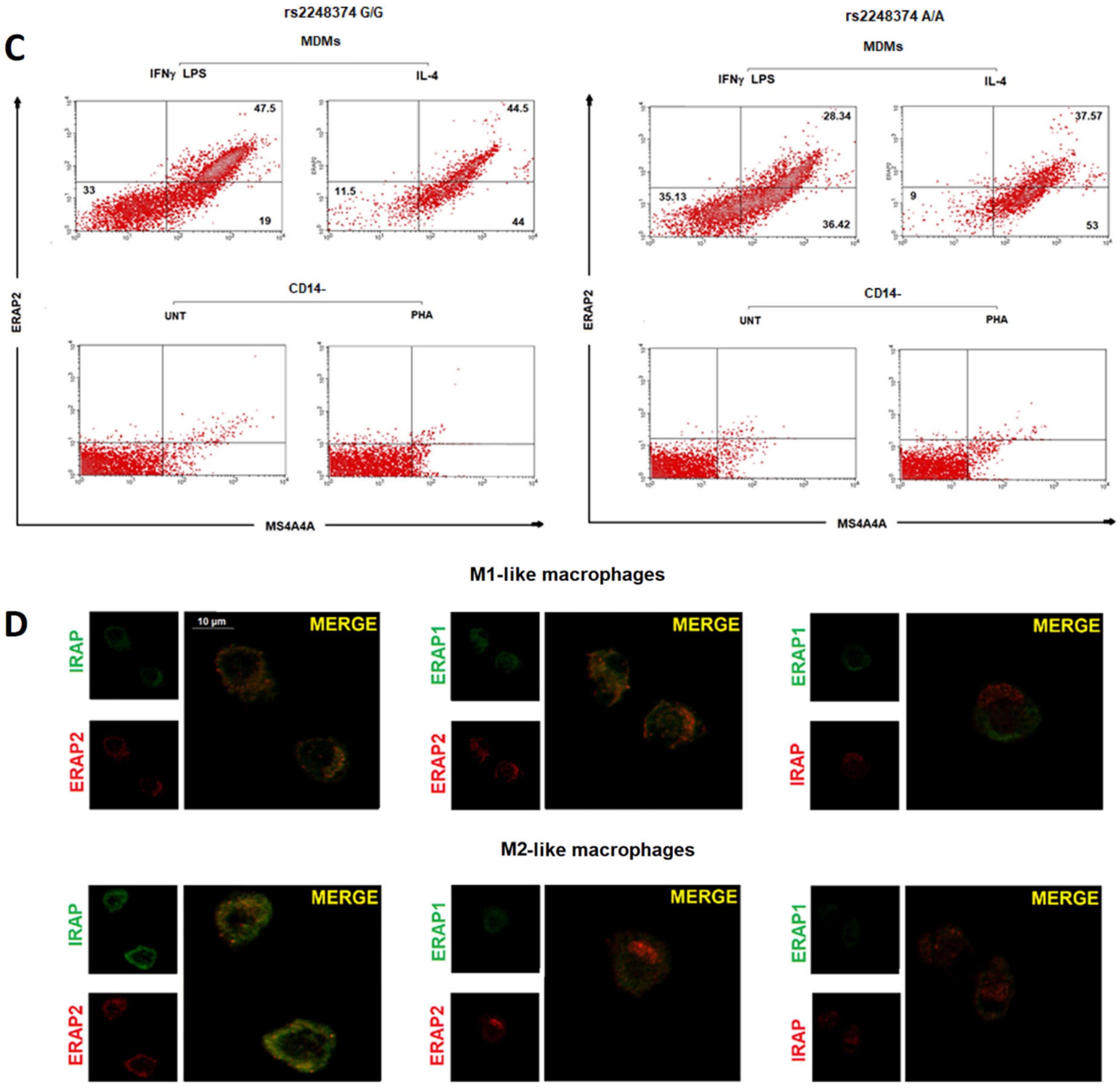 Ijms 23 04961 g001b 550