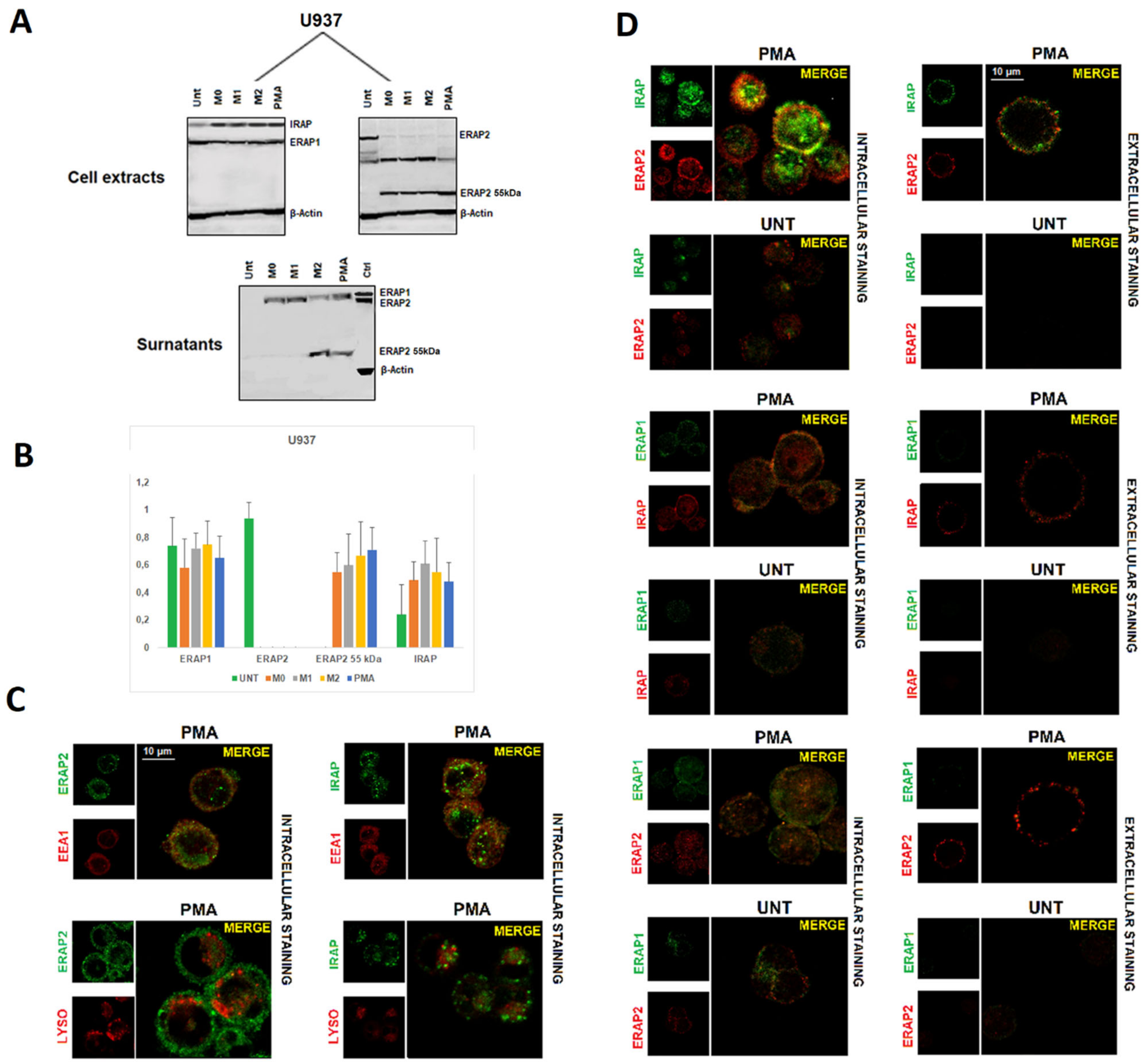 Ijms 23 04961 g002 550