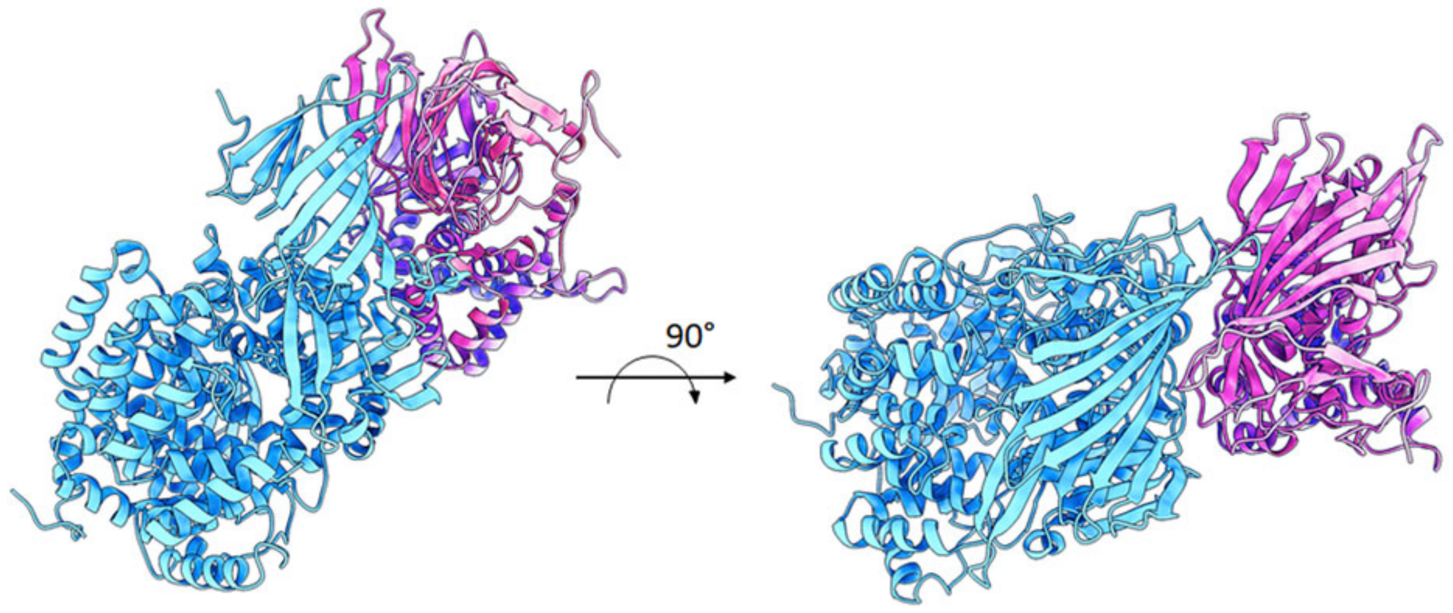 Ijms 23 04961 g005 550