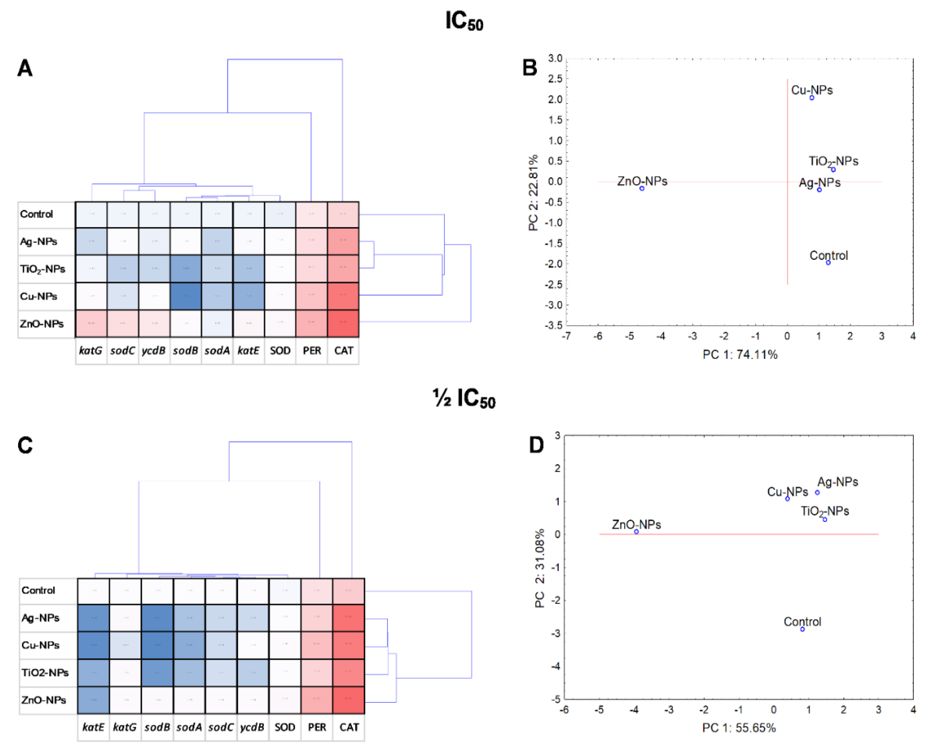 Ijms 23 04966 g008 Ijms 23 04966 g008