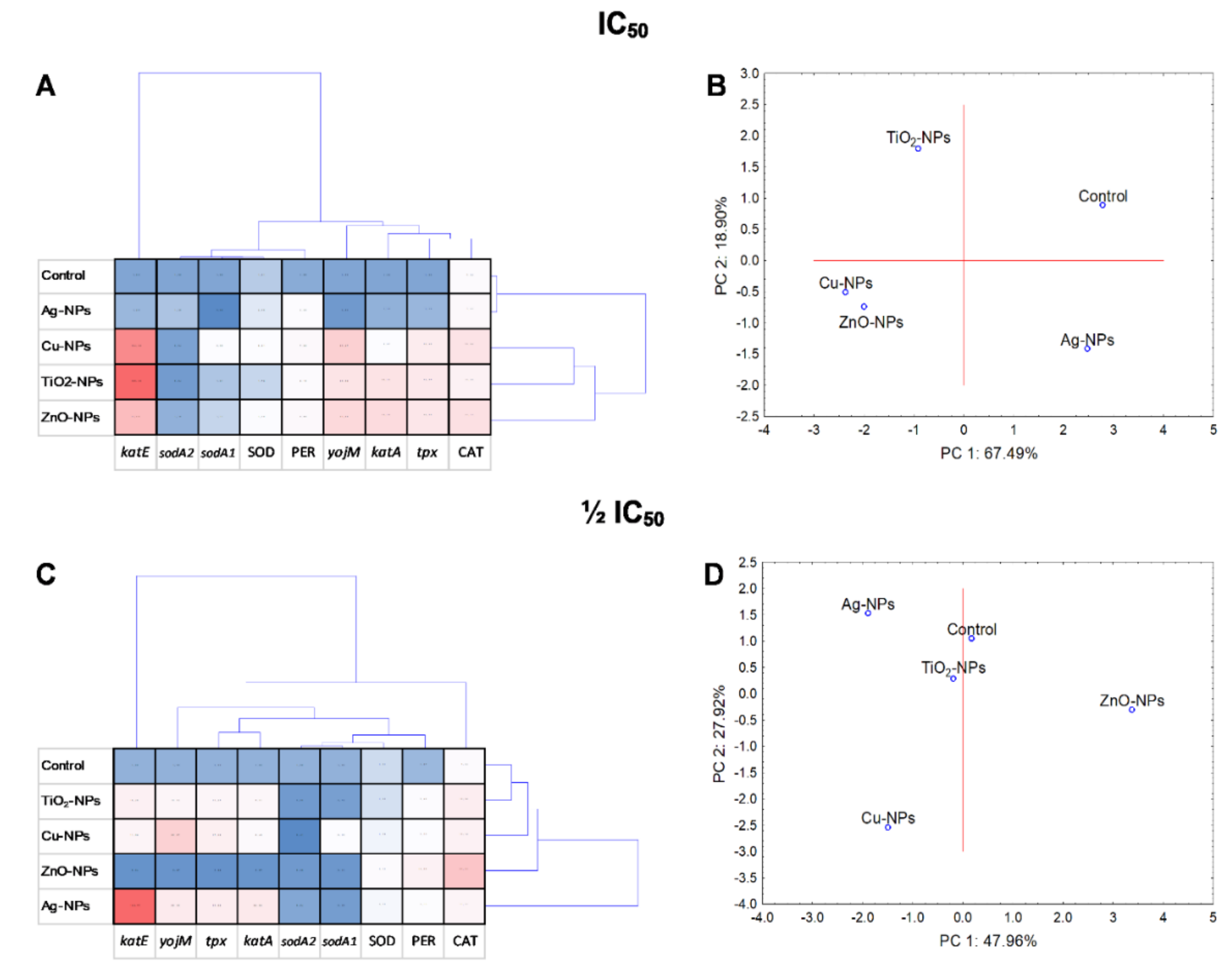 Ijms 23 04966 g009 Ijms 23 04966 g009