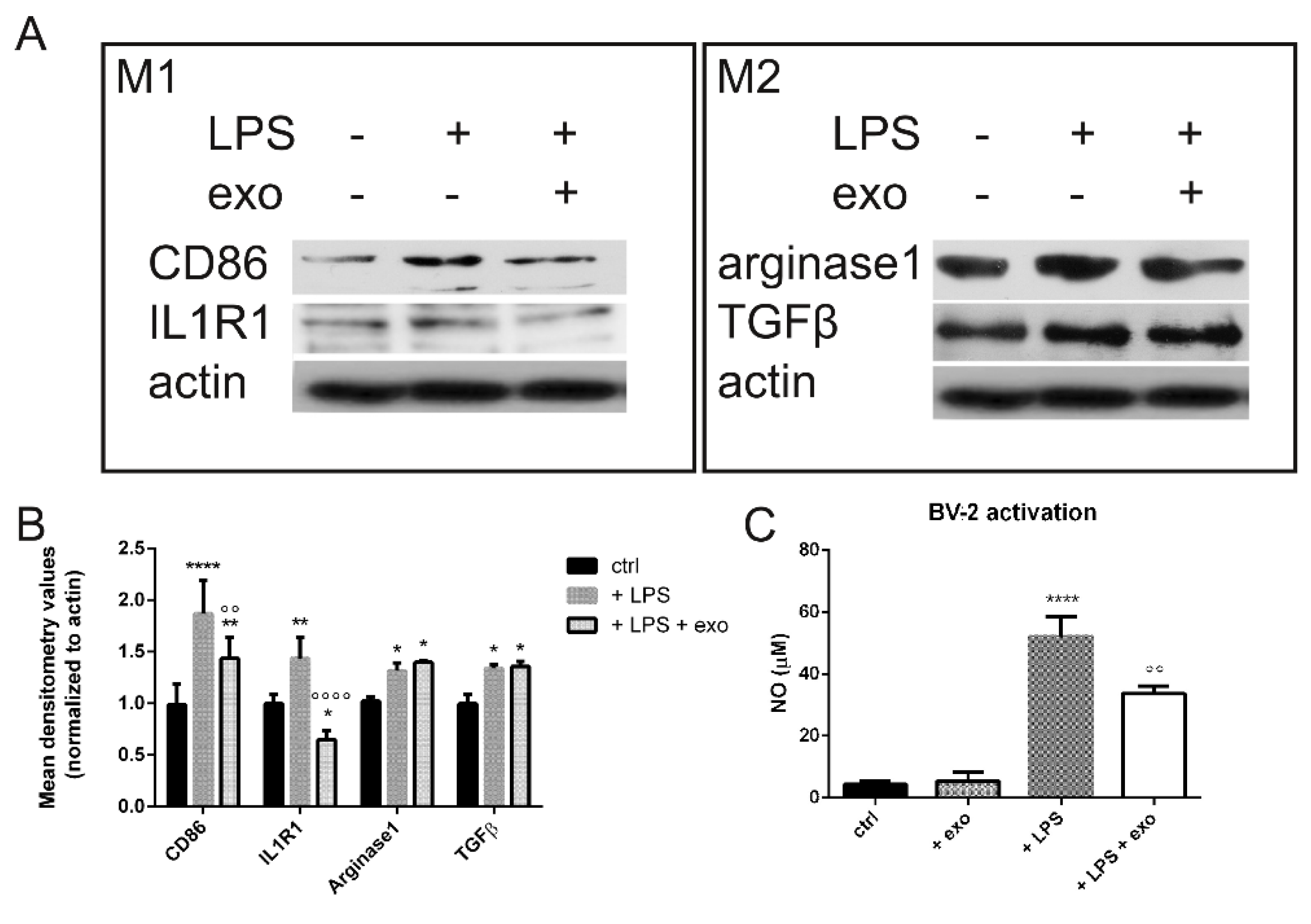Ijms 23 04967 g002 550