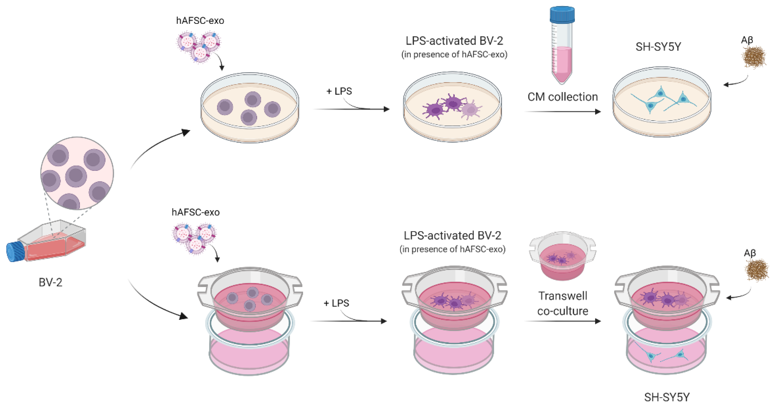 Ijms 23 04967 g003 550