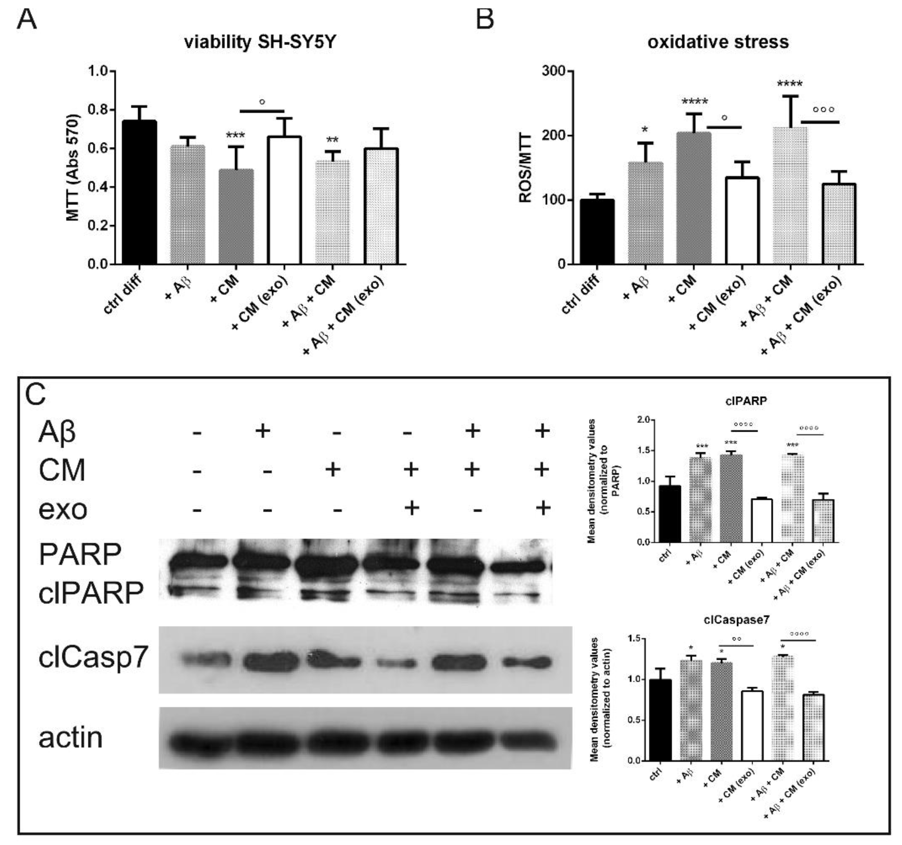 Ijms 23 04967 g004 550