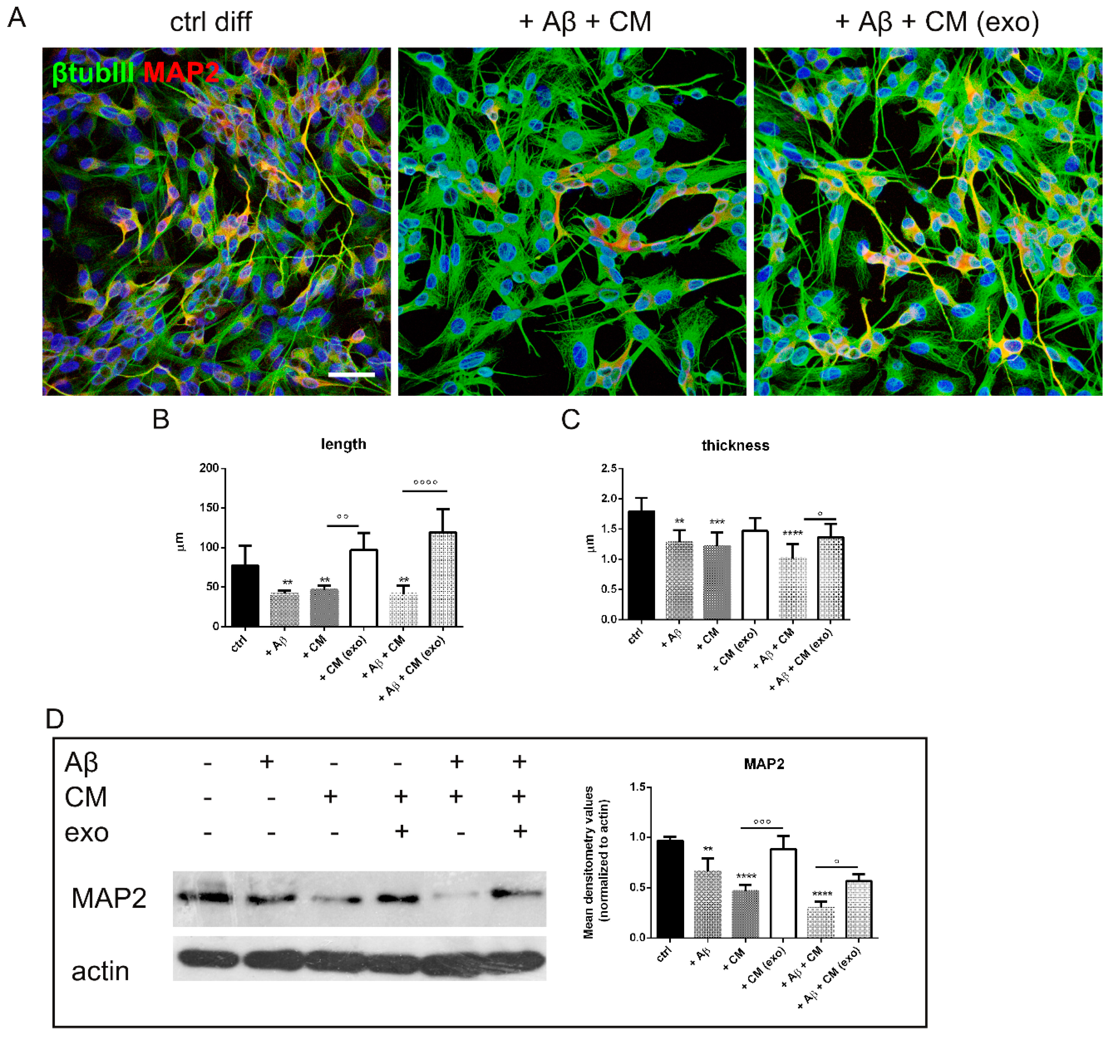 Ijms 23 04967 g005 550