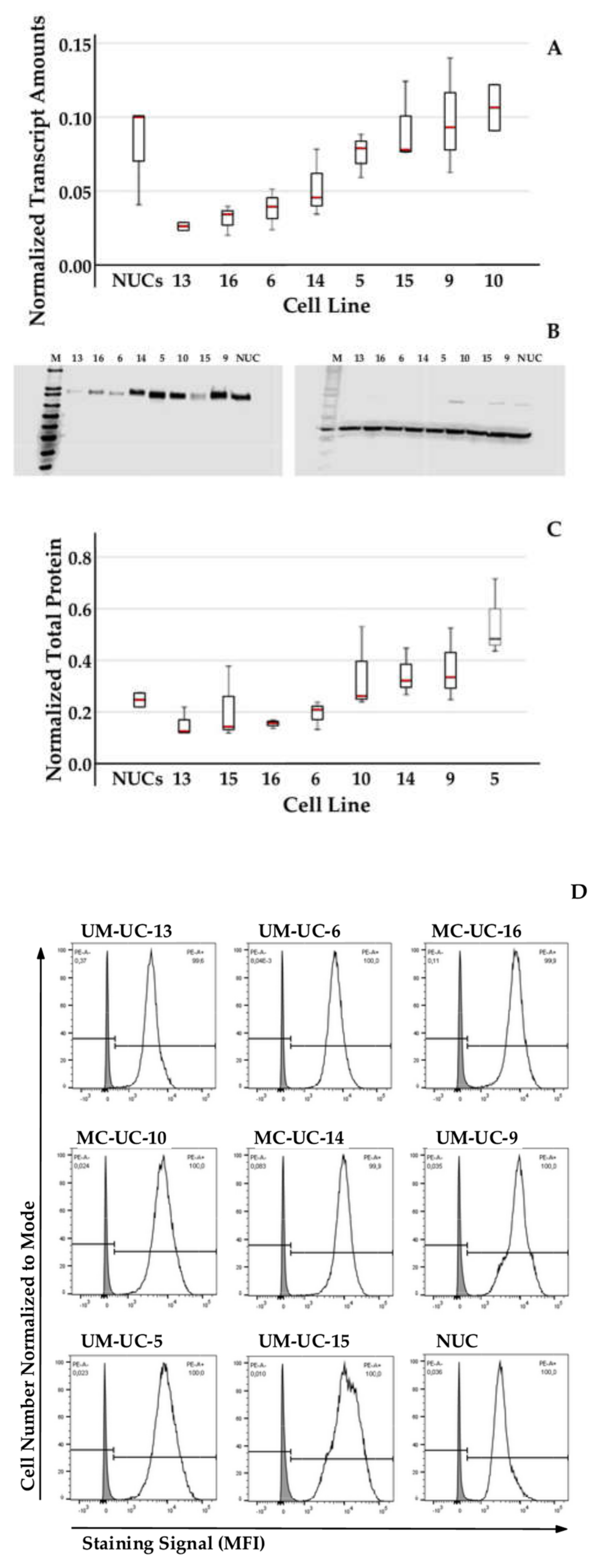 Ijms 23 04969 g003a 550