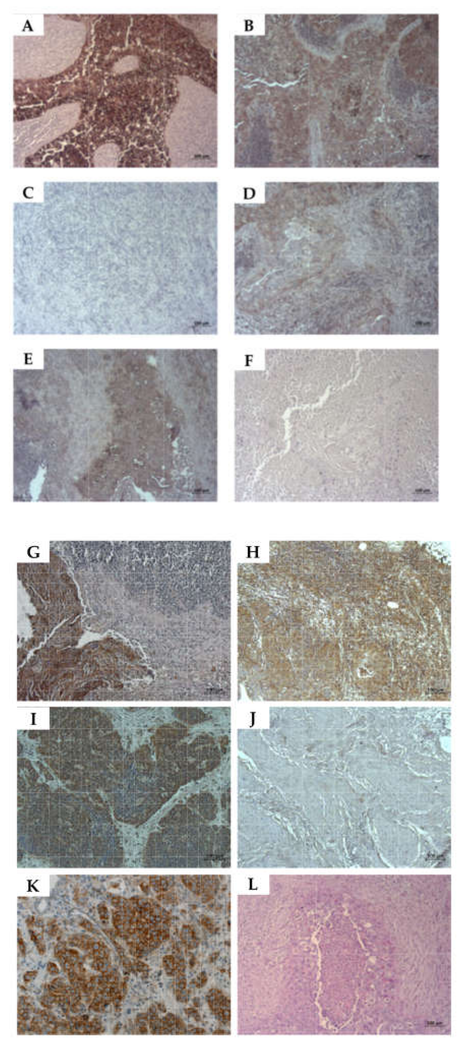 Ijms 23 04969 g008 550