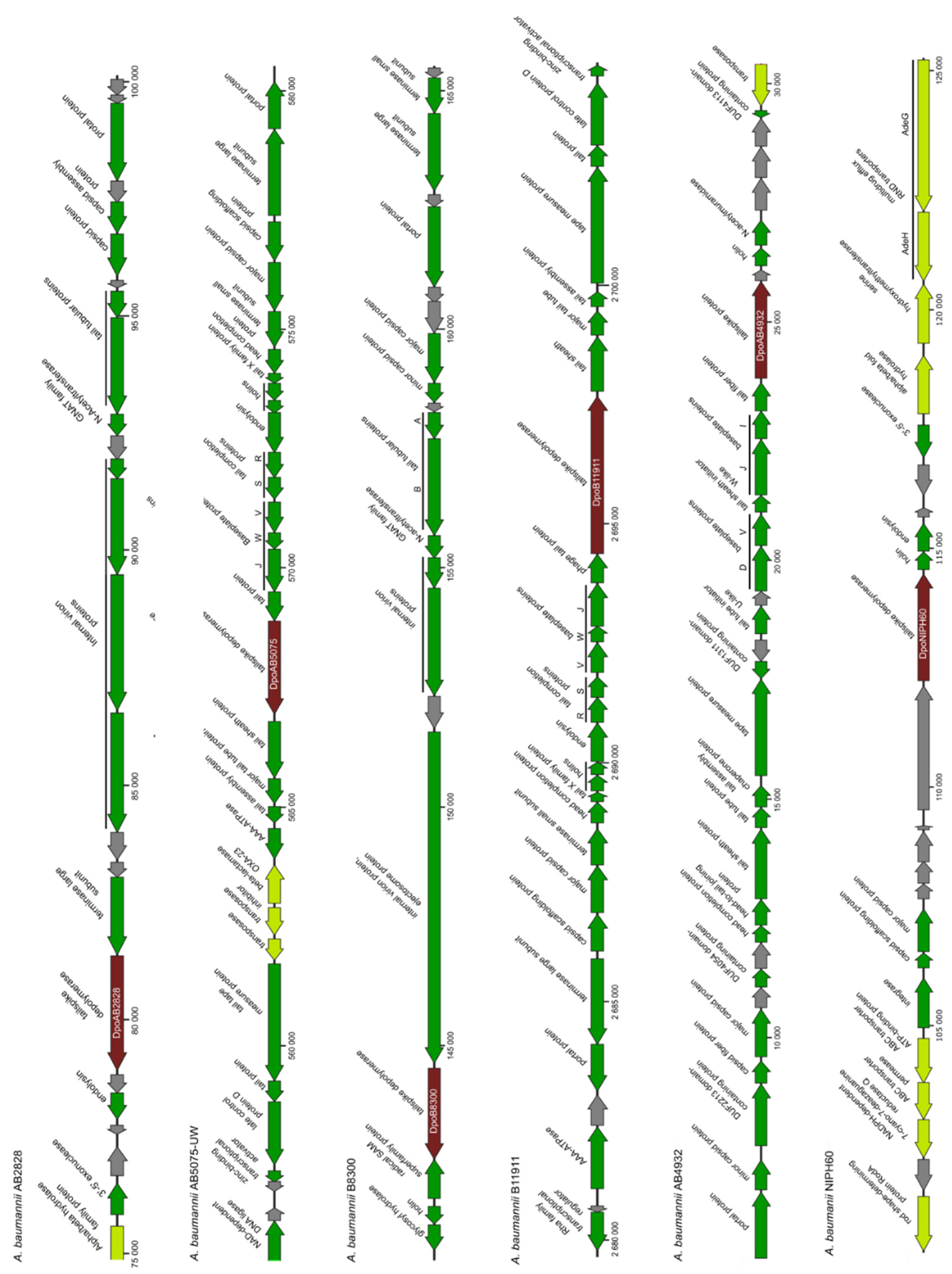 Ijms 23 04971 g001 550