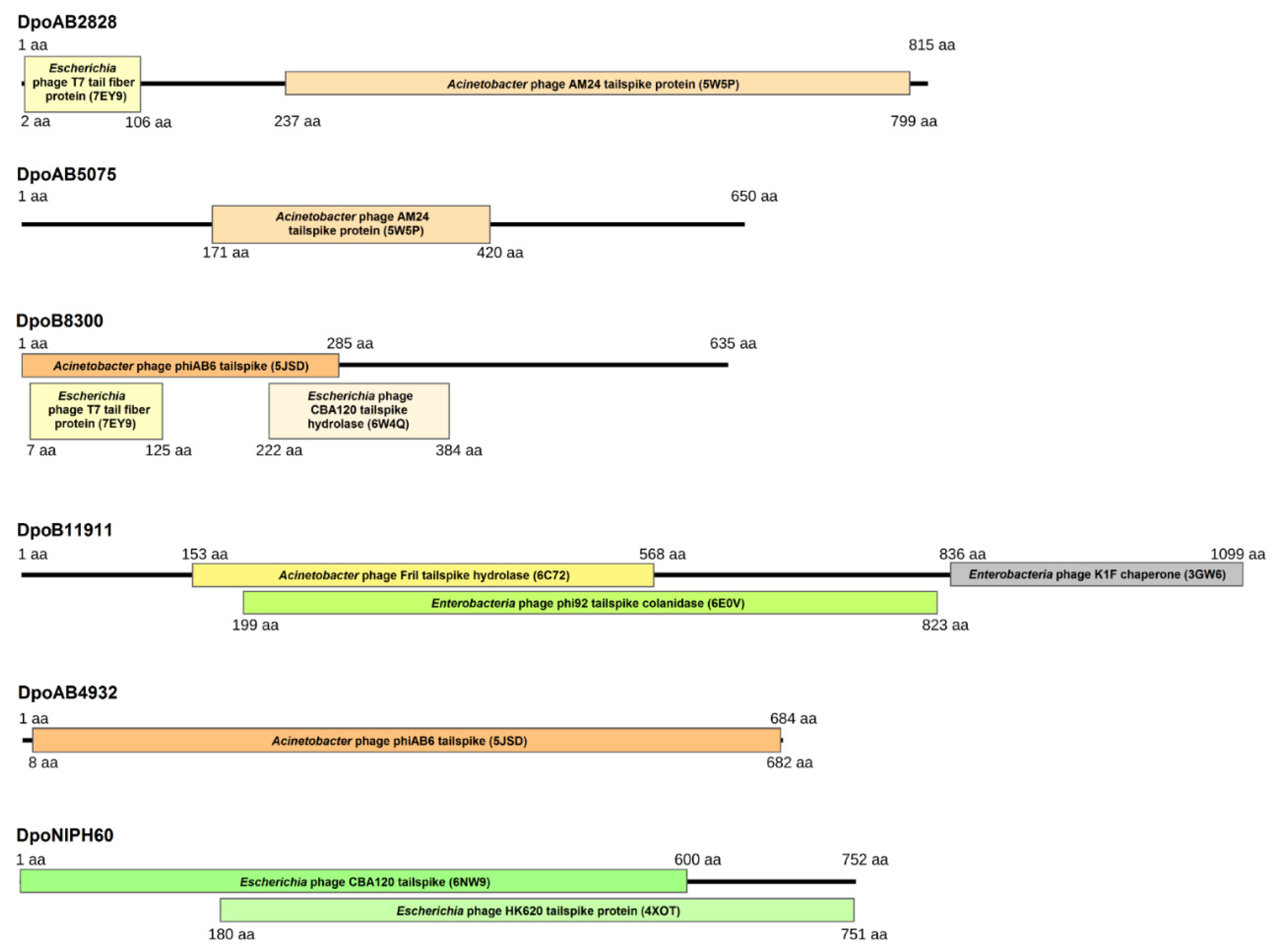 Ijms 23 04971 g002 550