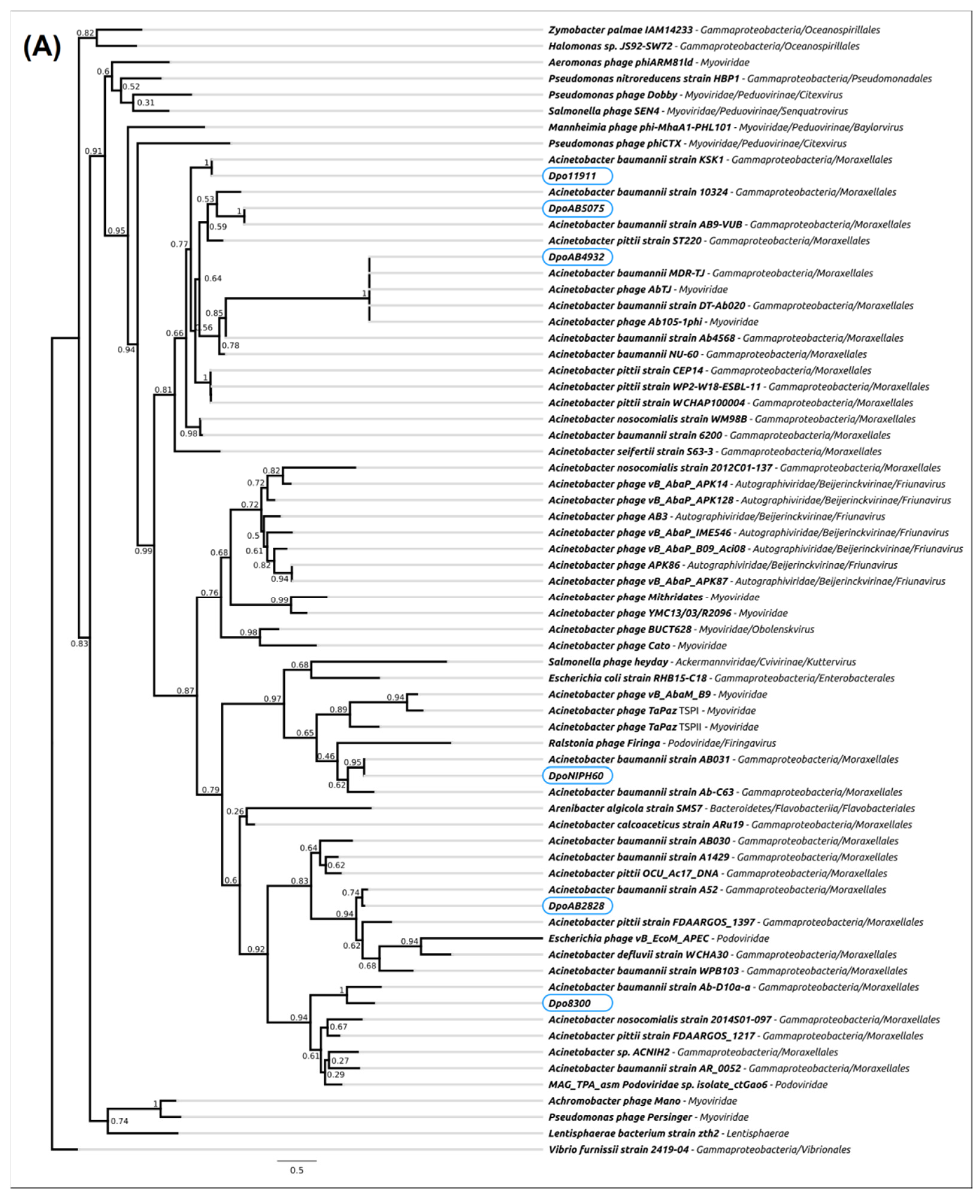 Ijms 23 04971 g004a 550