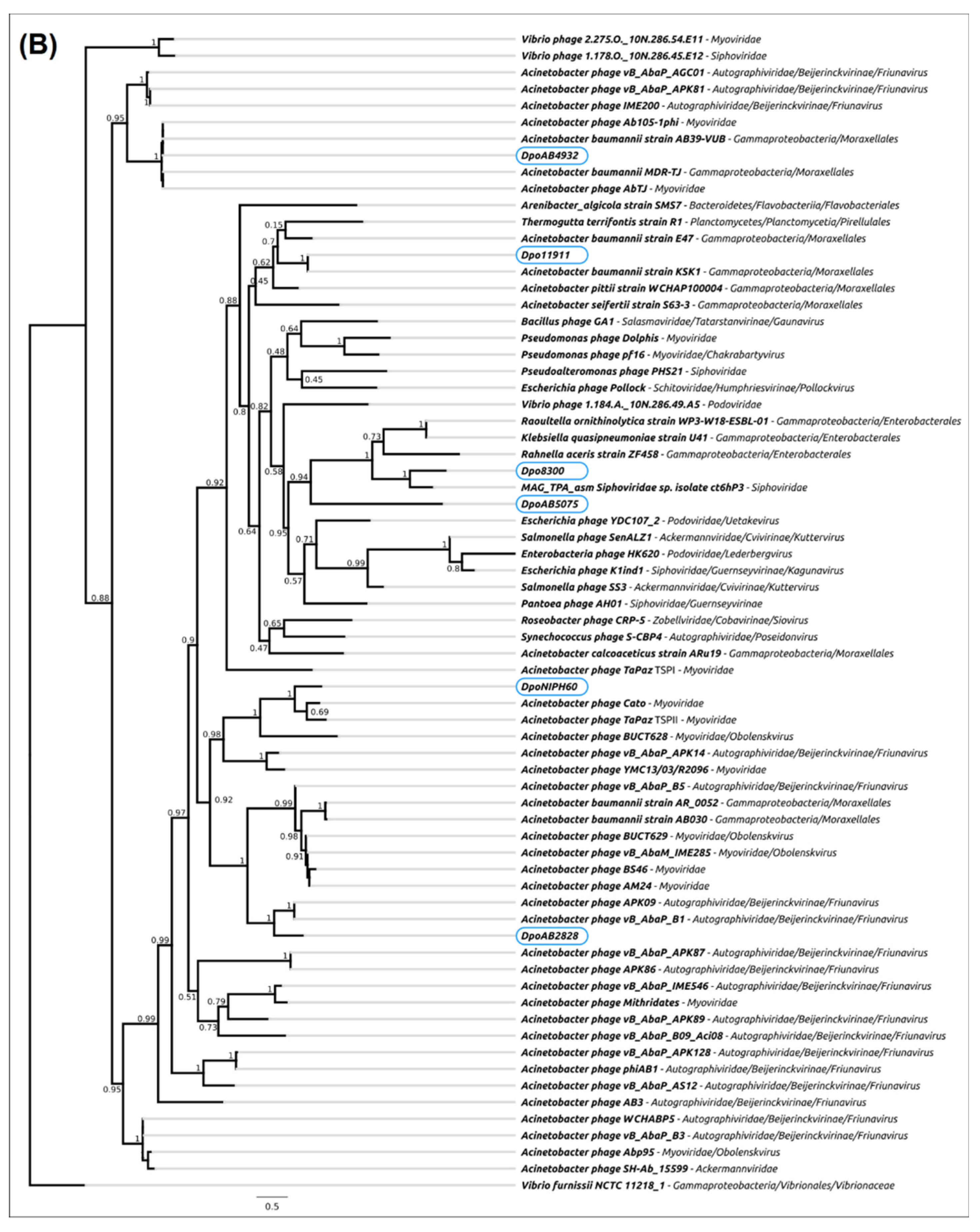 Ijms 23 04971 g004b 550