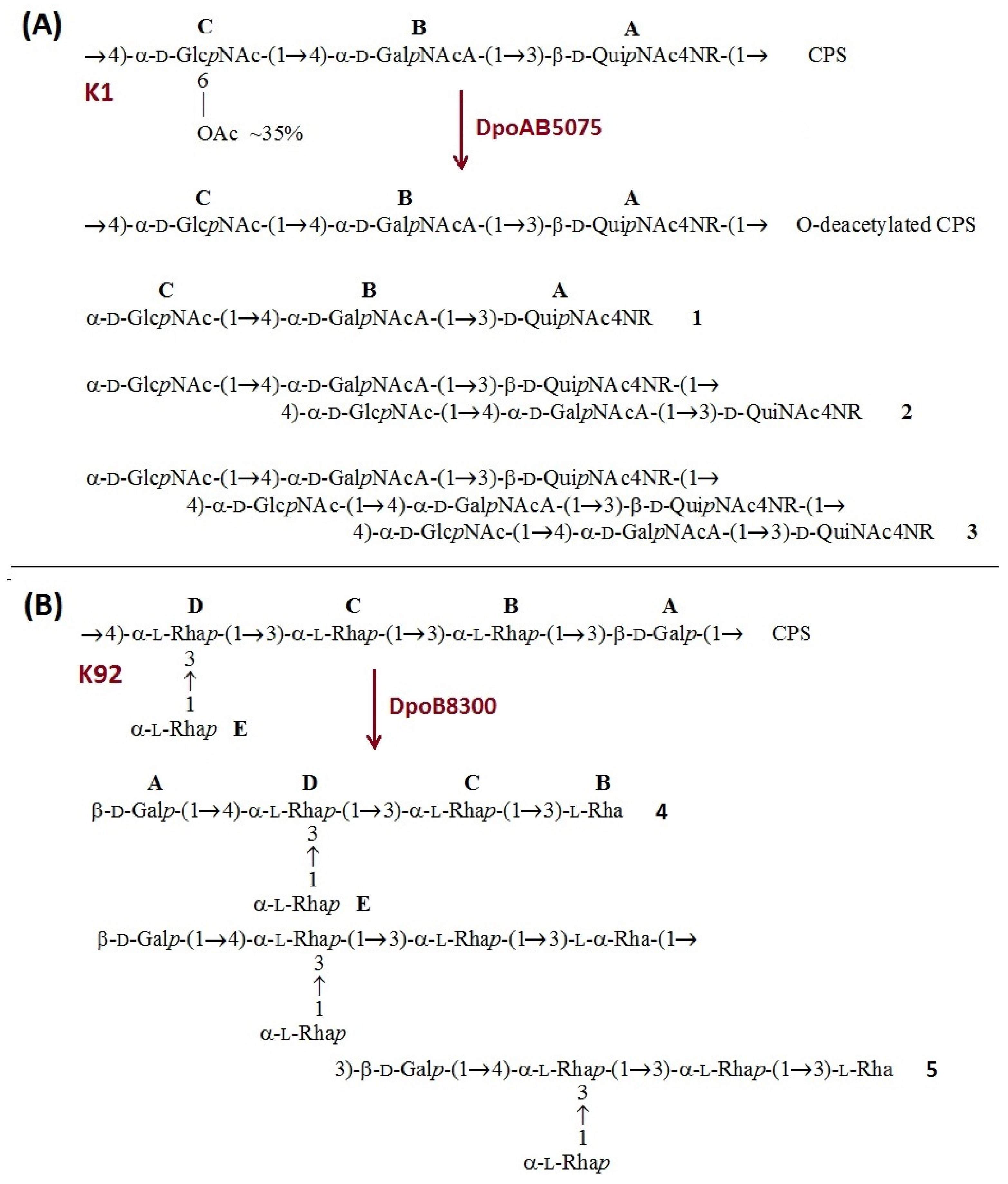 Ijms 23 04971 g006 550