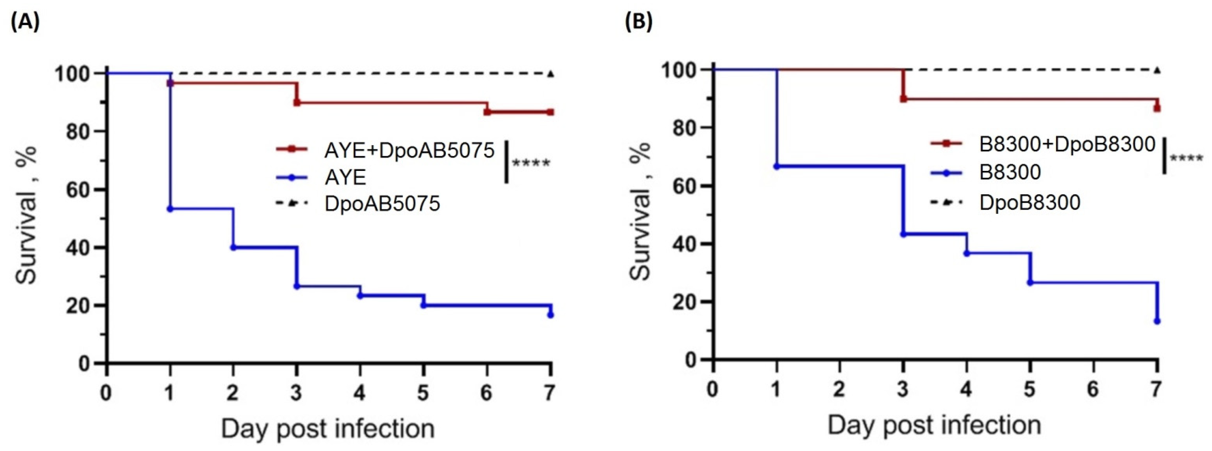 Ijms 23 04971 g007 550