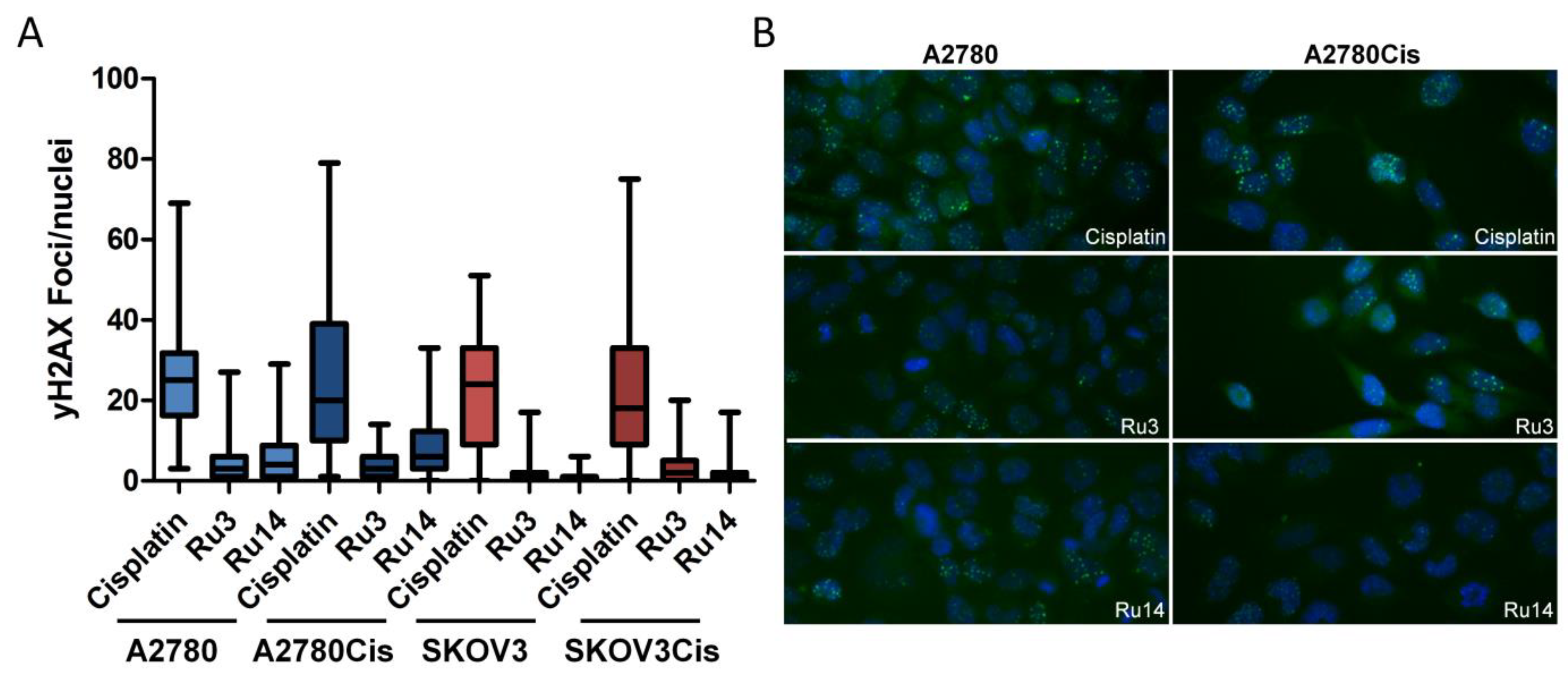 Ijms 23 04976 g008 550