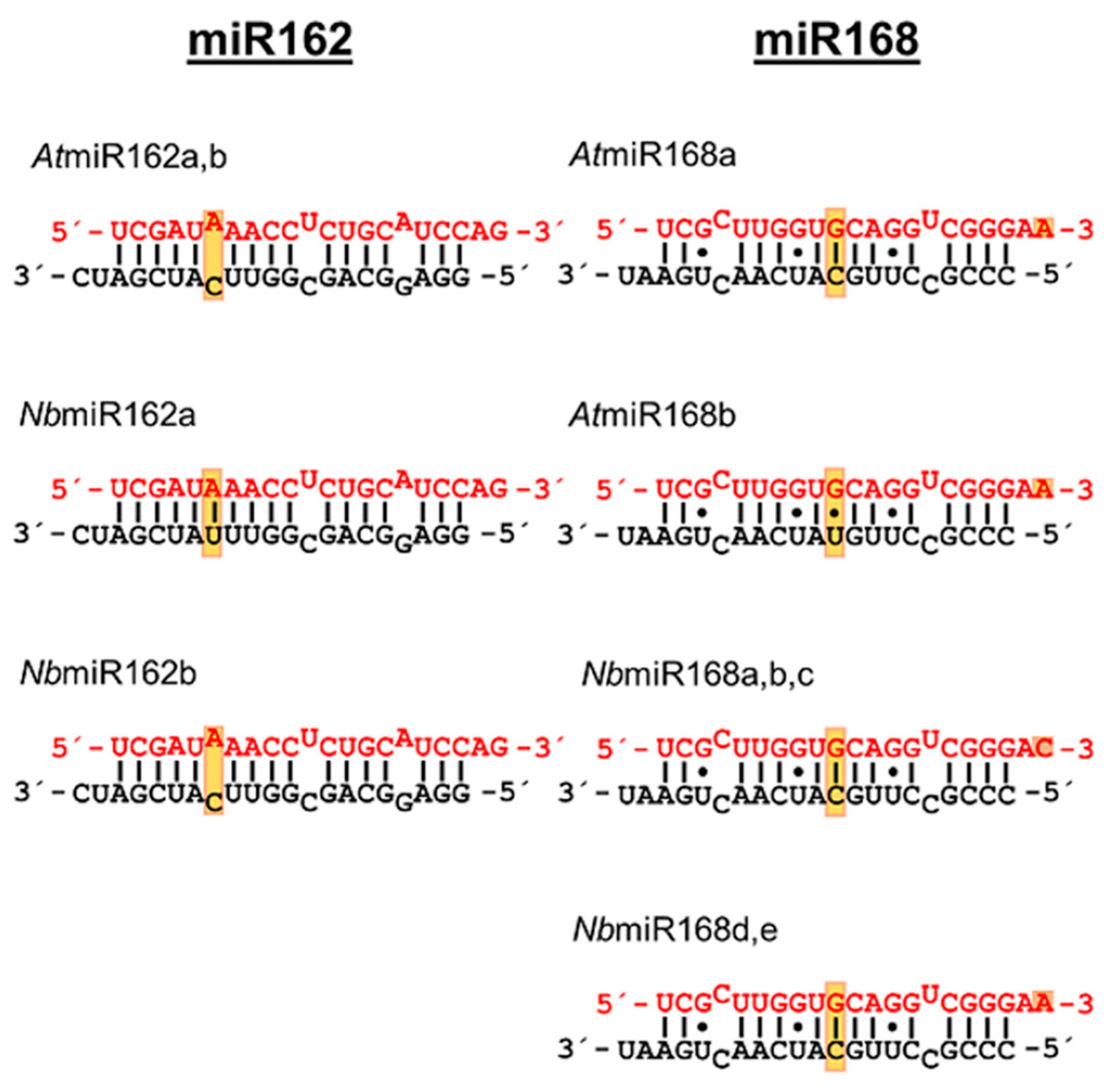 Ijms 23 04977 g004 550