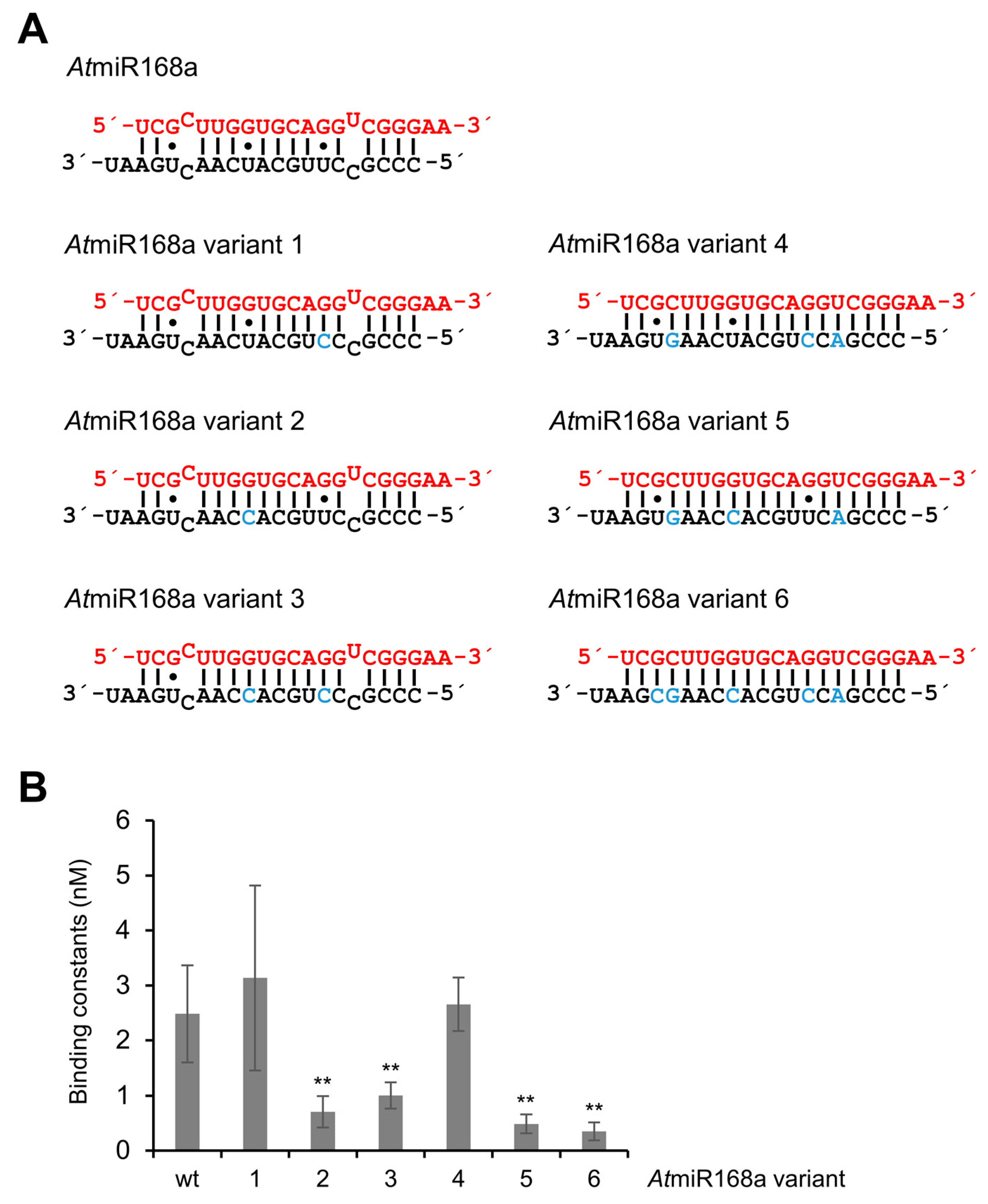 Ijms 23 04977 g005 550