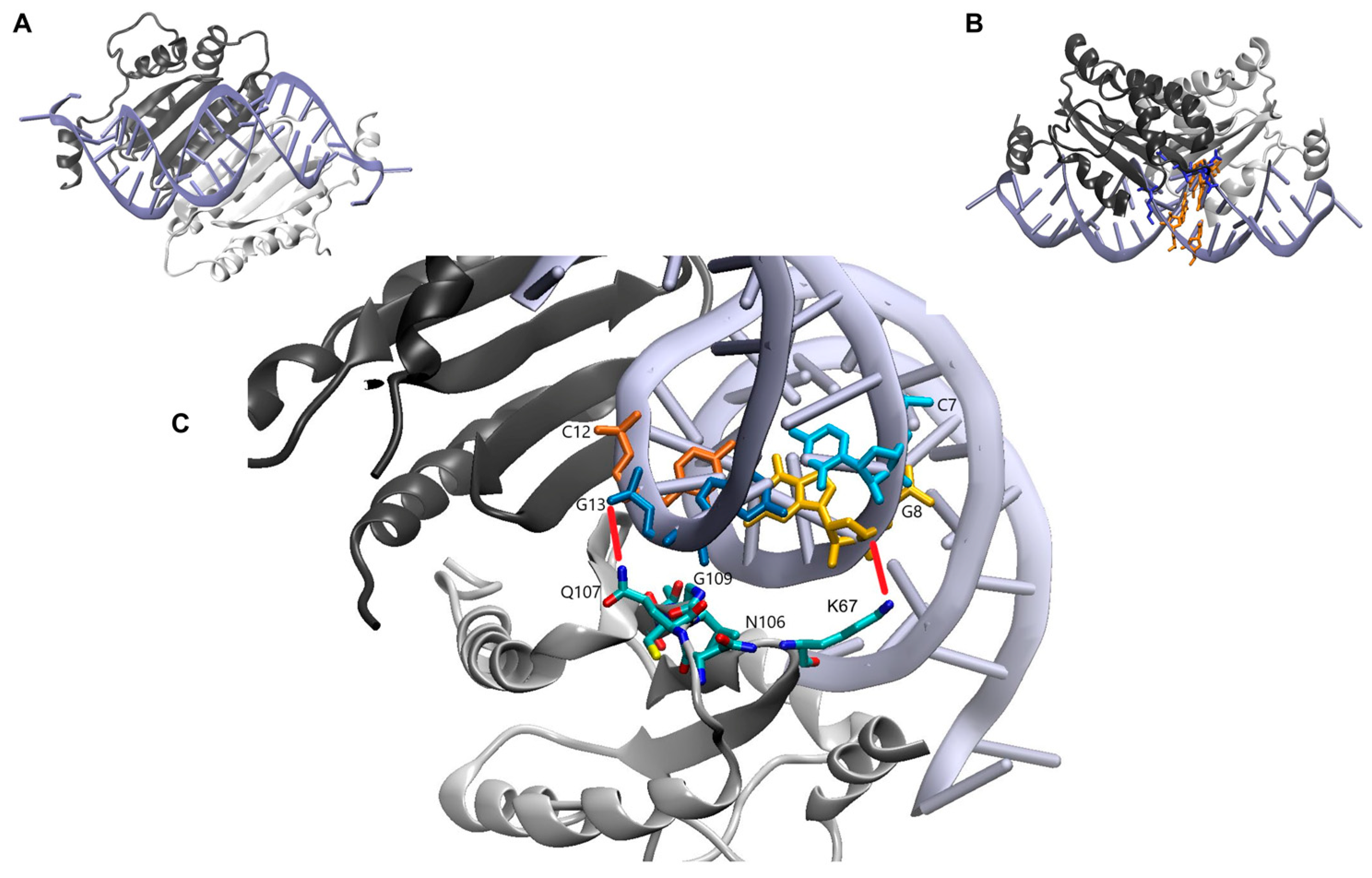 Ijms 23 04977 g006 550