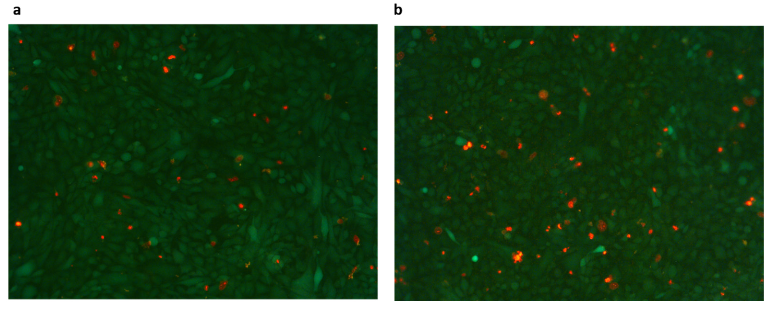 Ijms 23 04980 g005 550