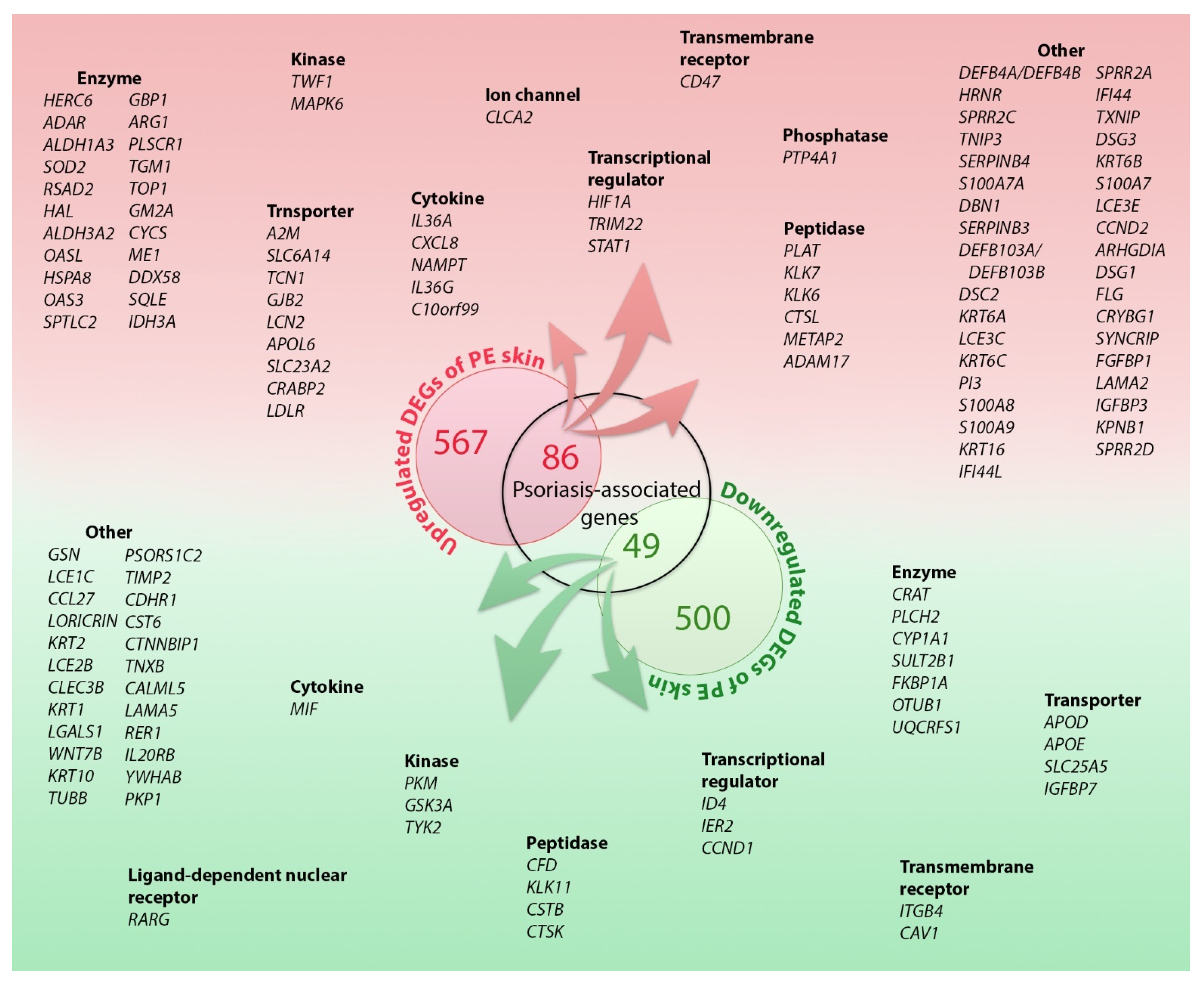 Ijms 23 04983 g001 550