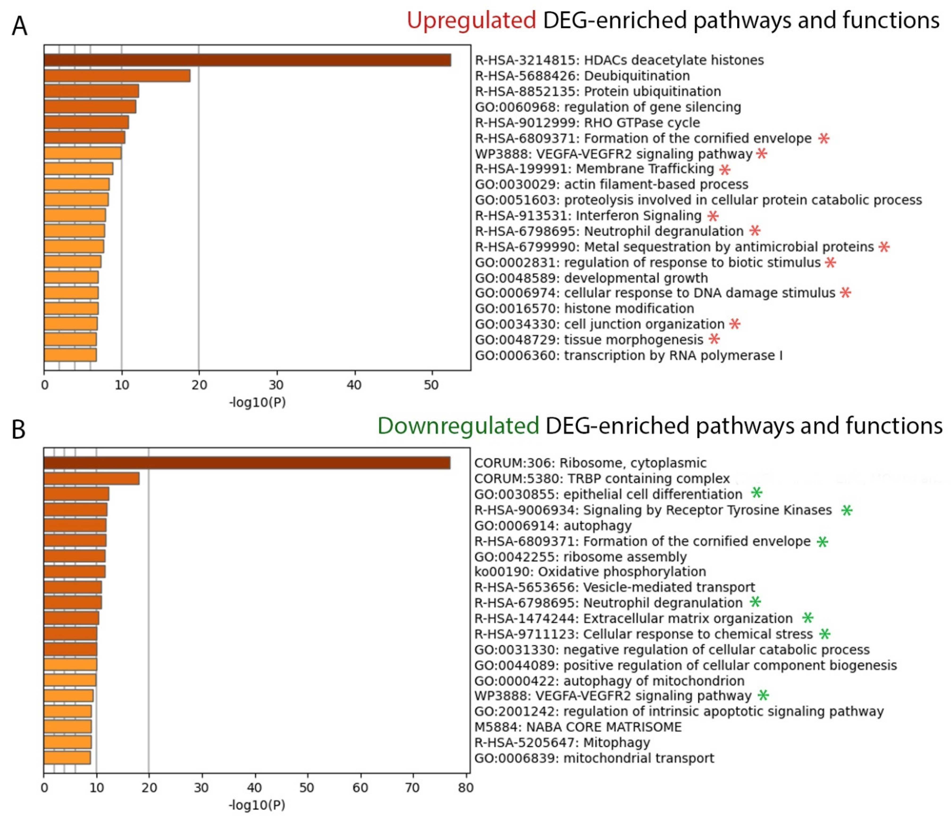 Ijms 23 04983 g002 550