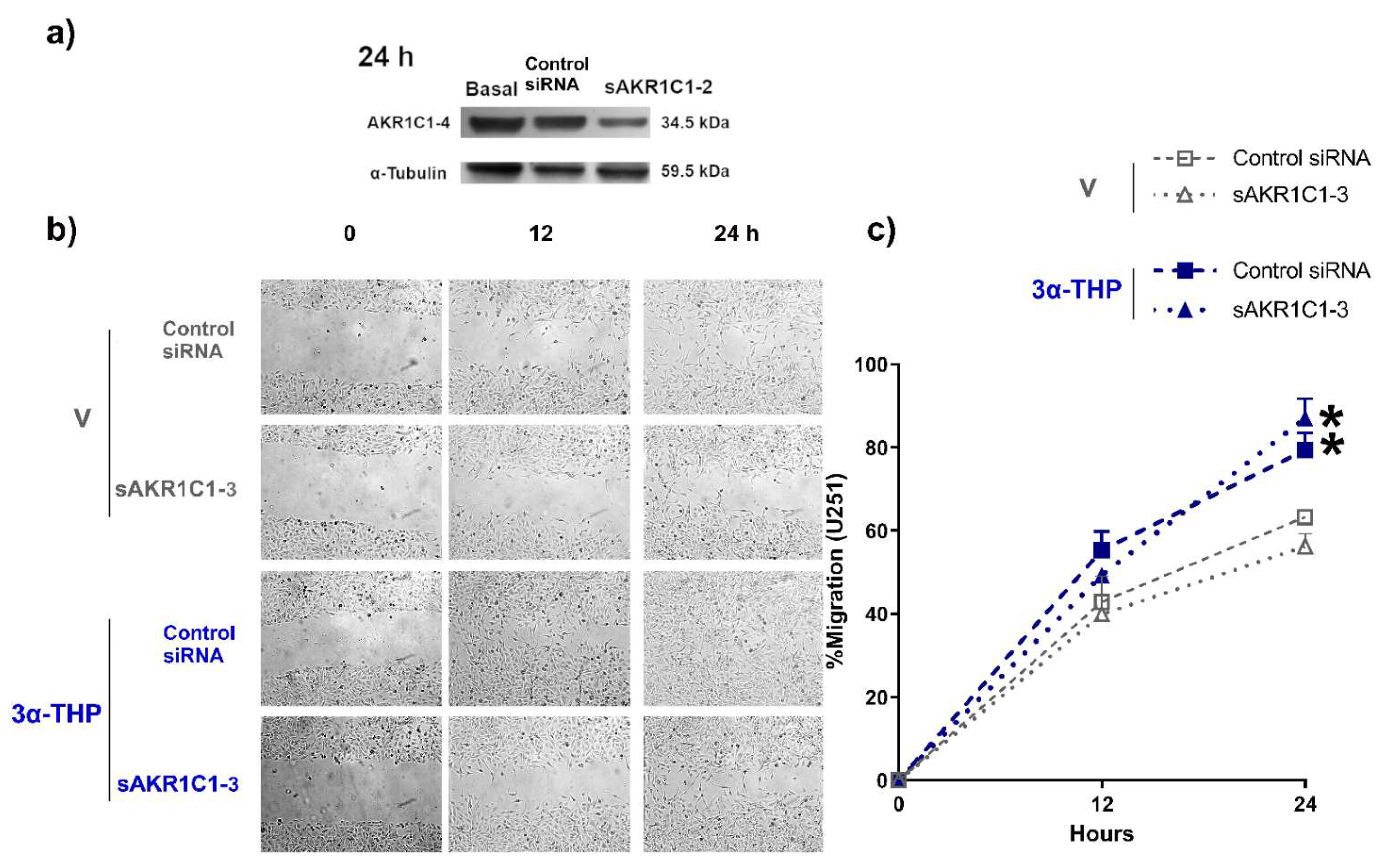 Ijms 23 04996 g004 Ijms 23 04996 g004
