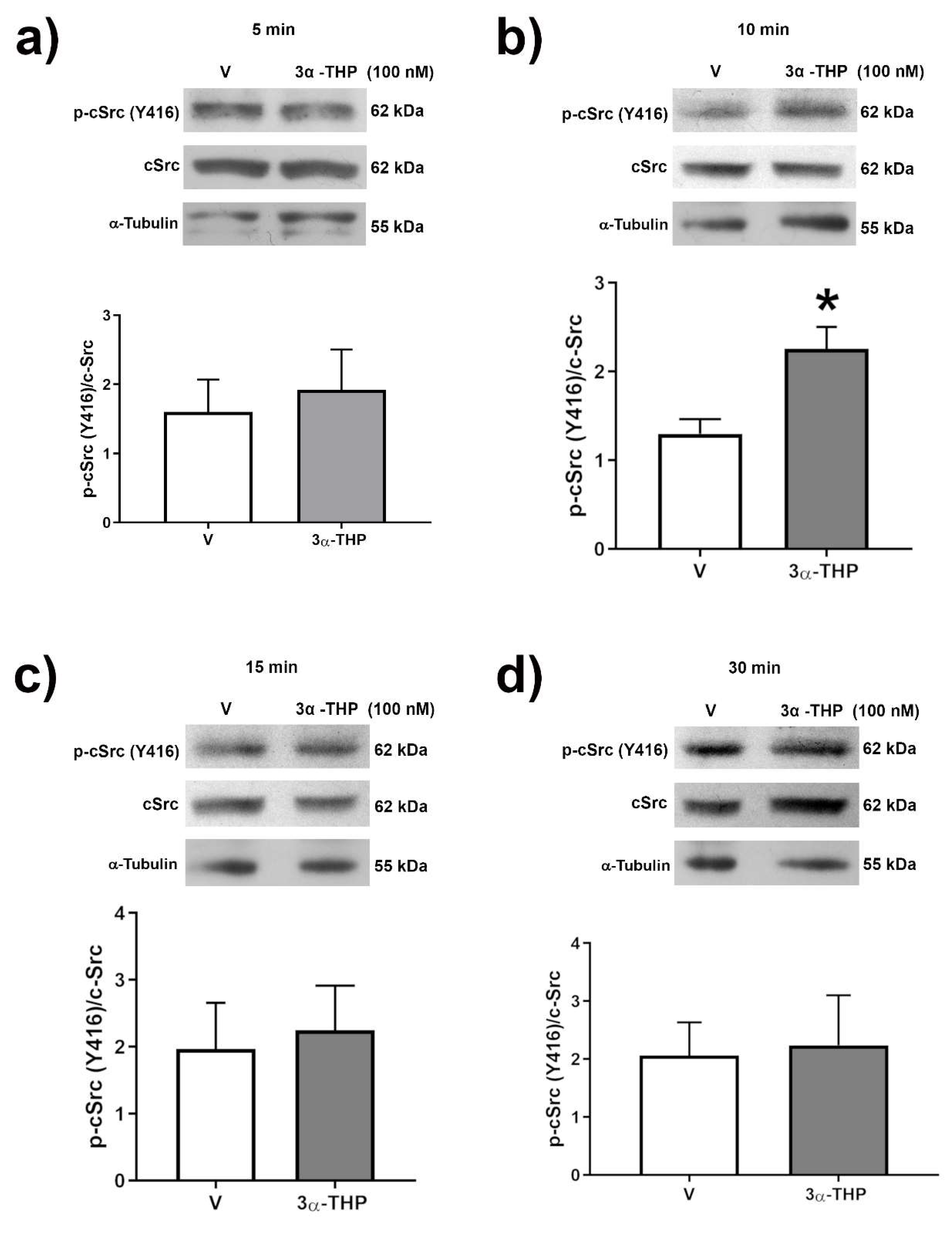 Ijms 23 04996 g006 Ijms 23 04996 g006