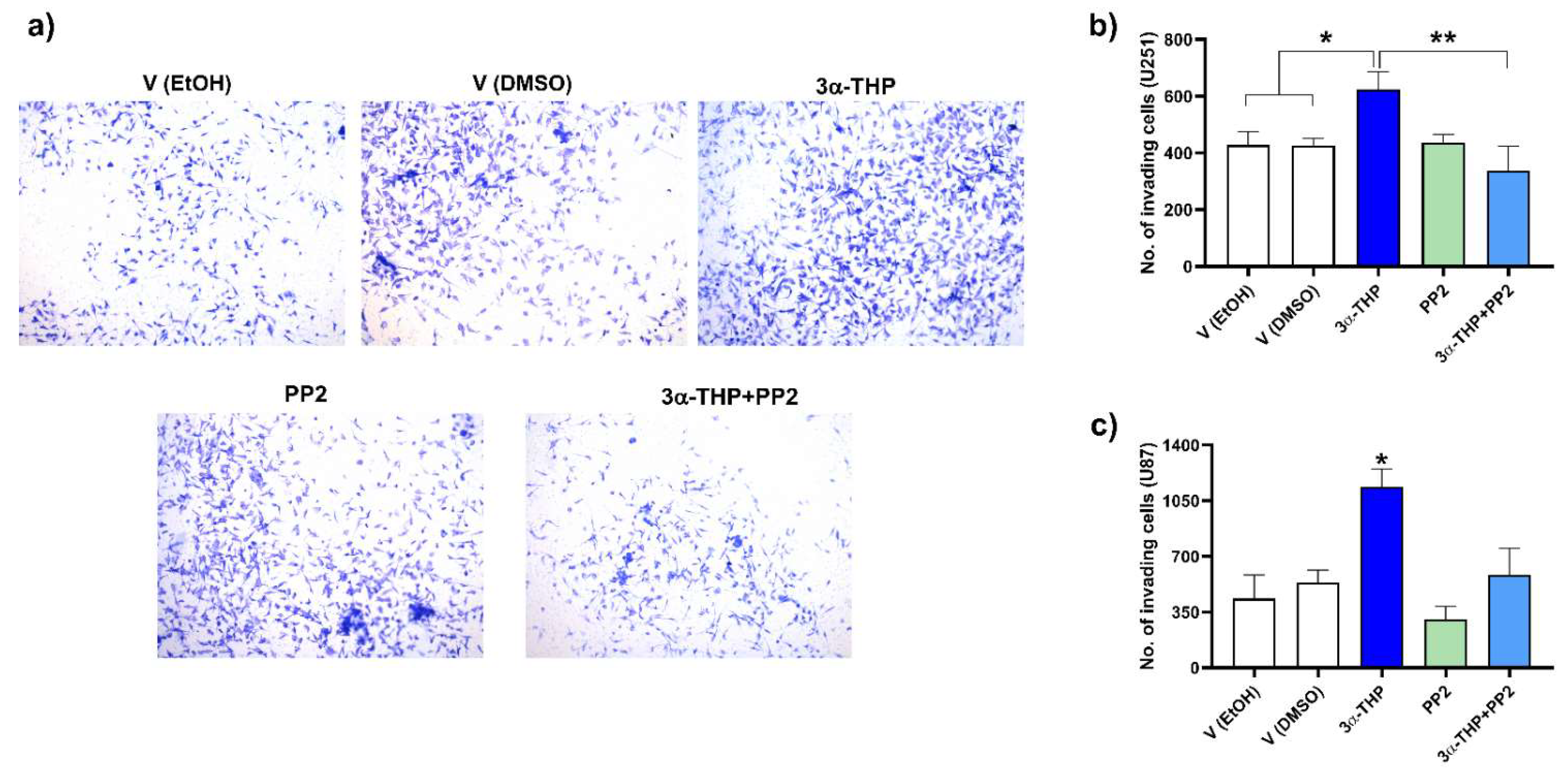 Ijms 23 04996 g007 Ijms 23 04996 g007
