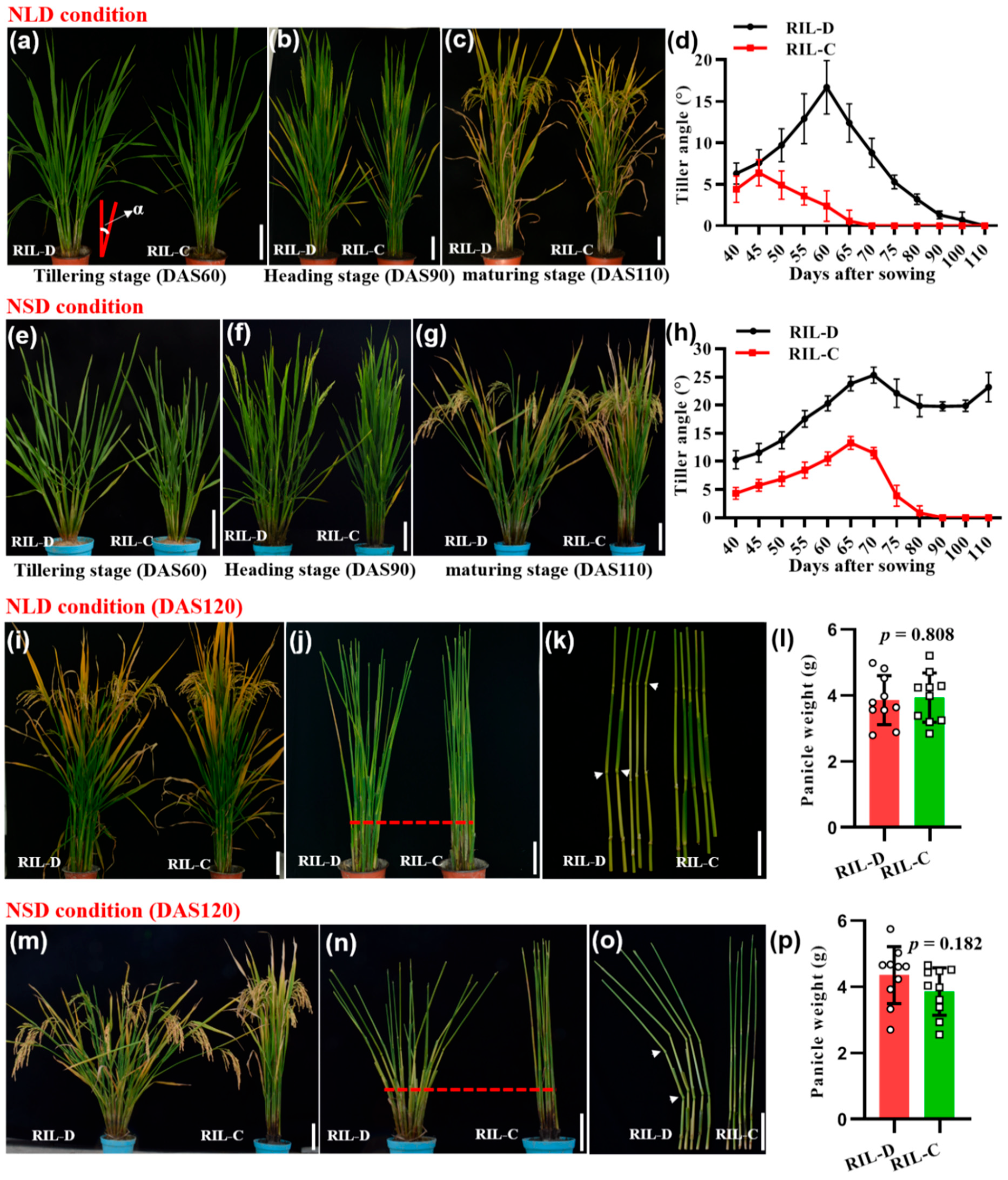 Ijms 23 04997 g001 550