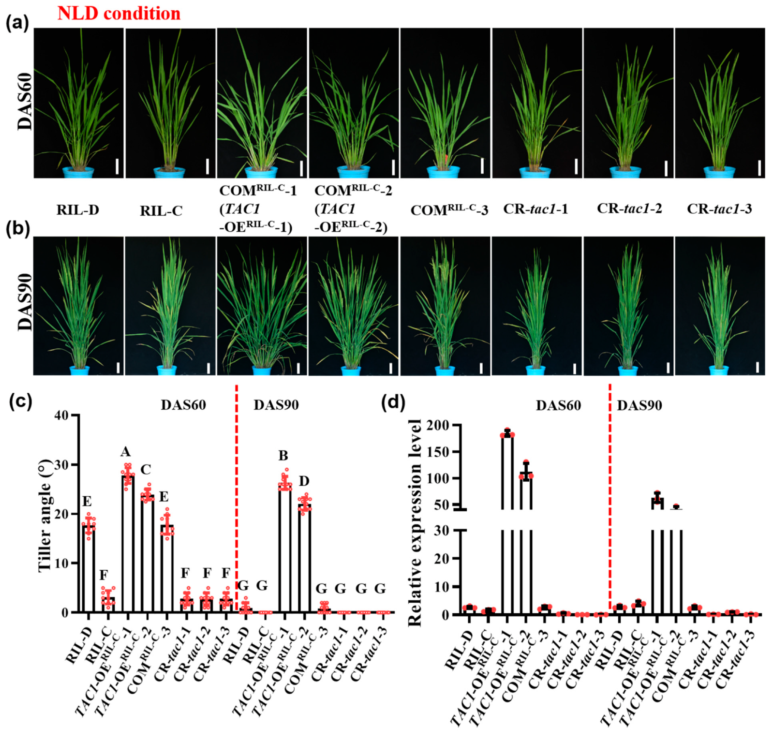 Ijms 23 04997 g003 550