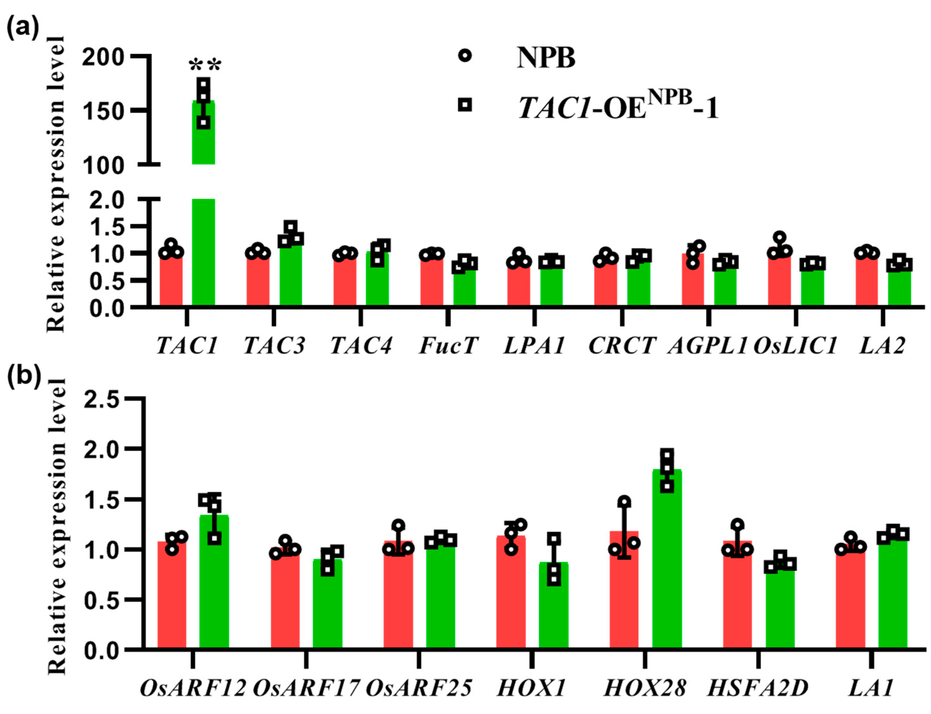 Ijms 23 04997 g006 550