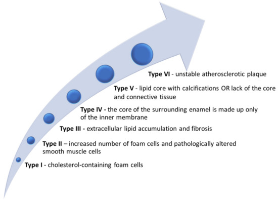 A Definition of Advanced Types of Atherosclerotic Lesions and a  Histological Classification of Atherosclerosis