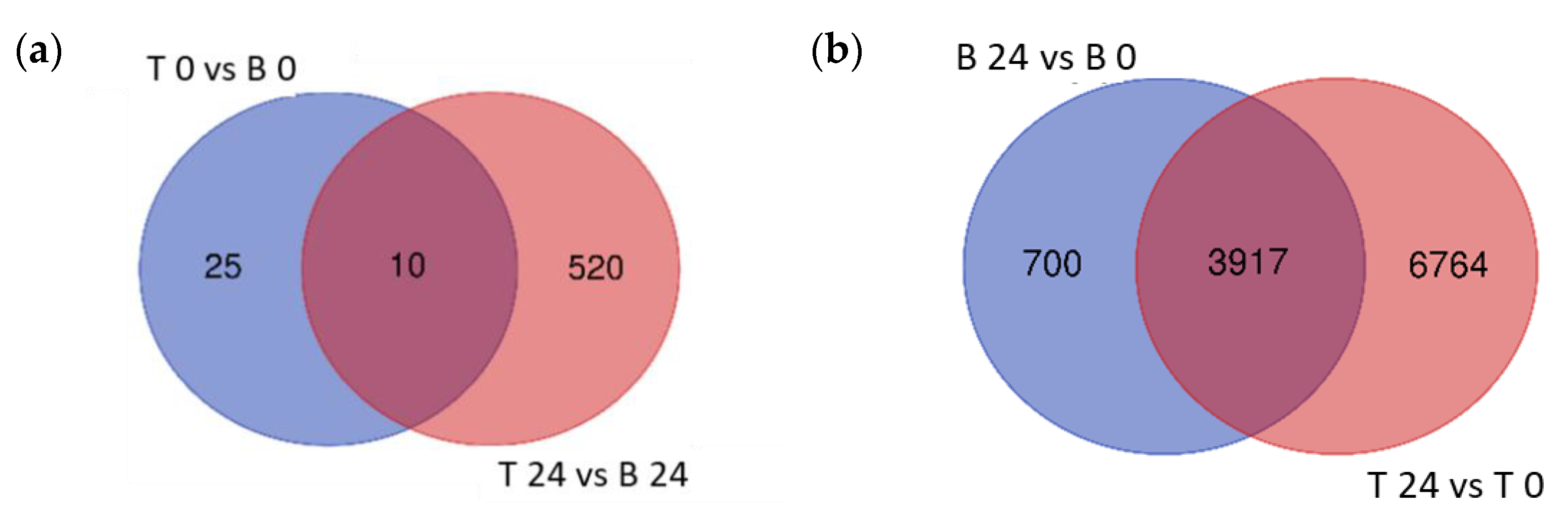 Ijms 23 05006 g004 550