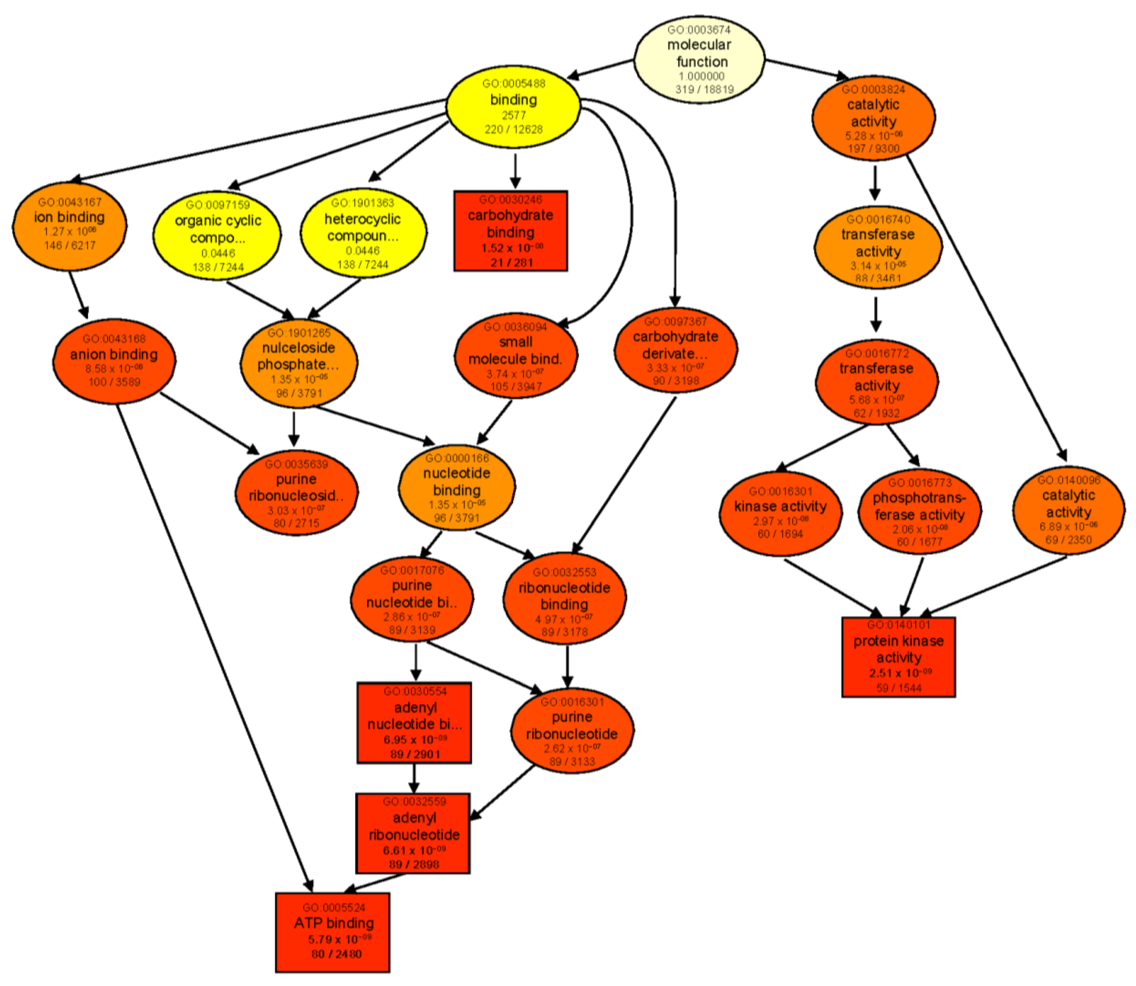 Ijms 23 05006 g005 550