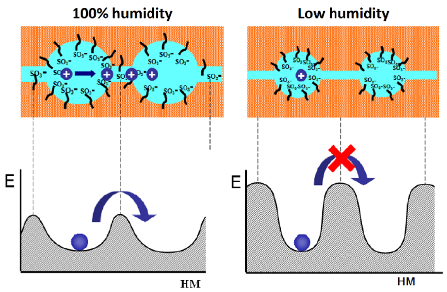 Ijms 23 05011 g001 550