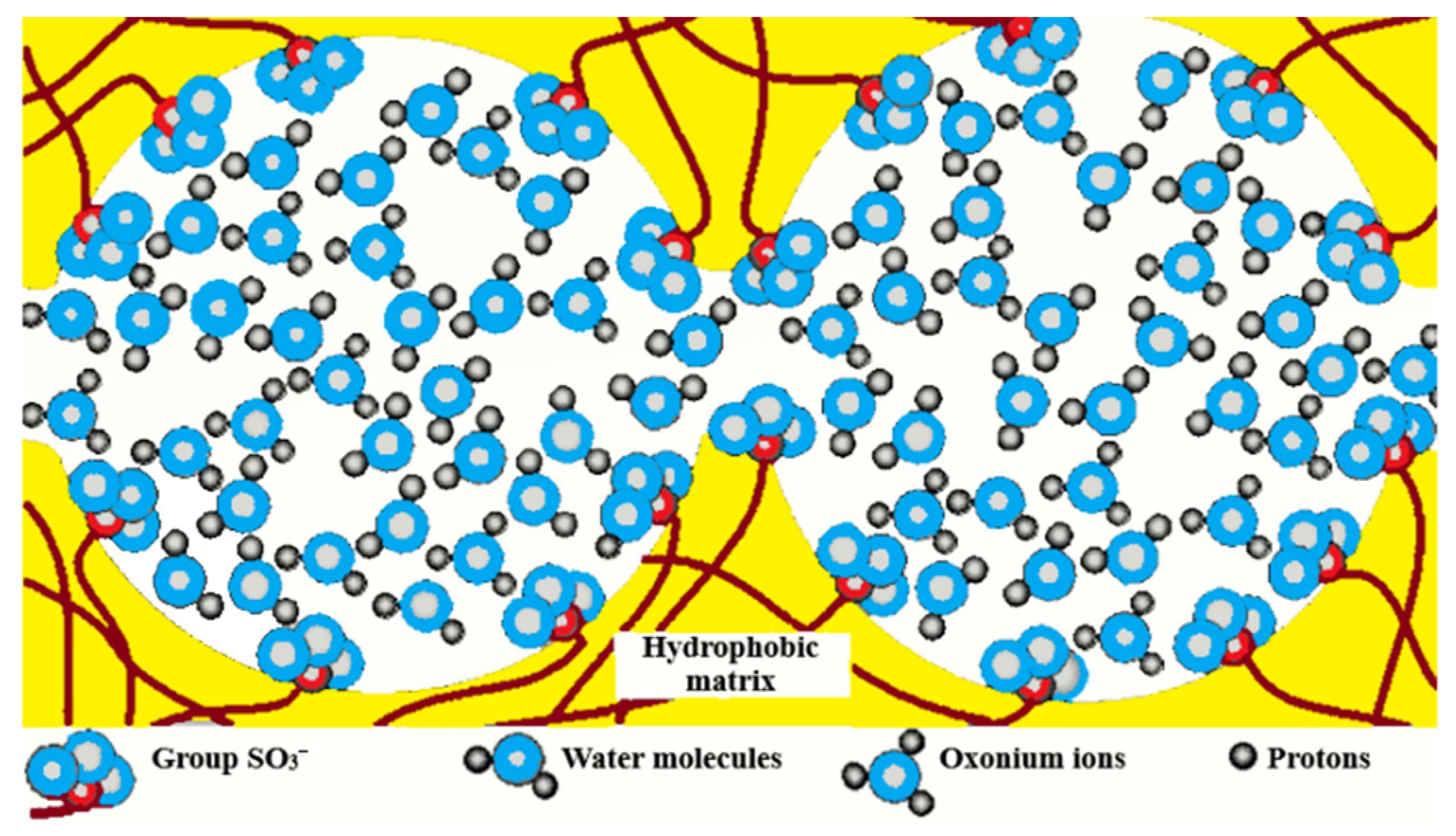 Ijms 23 05011 g002 550