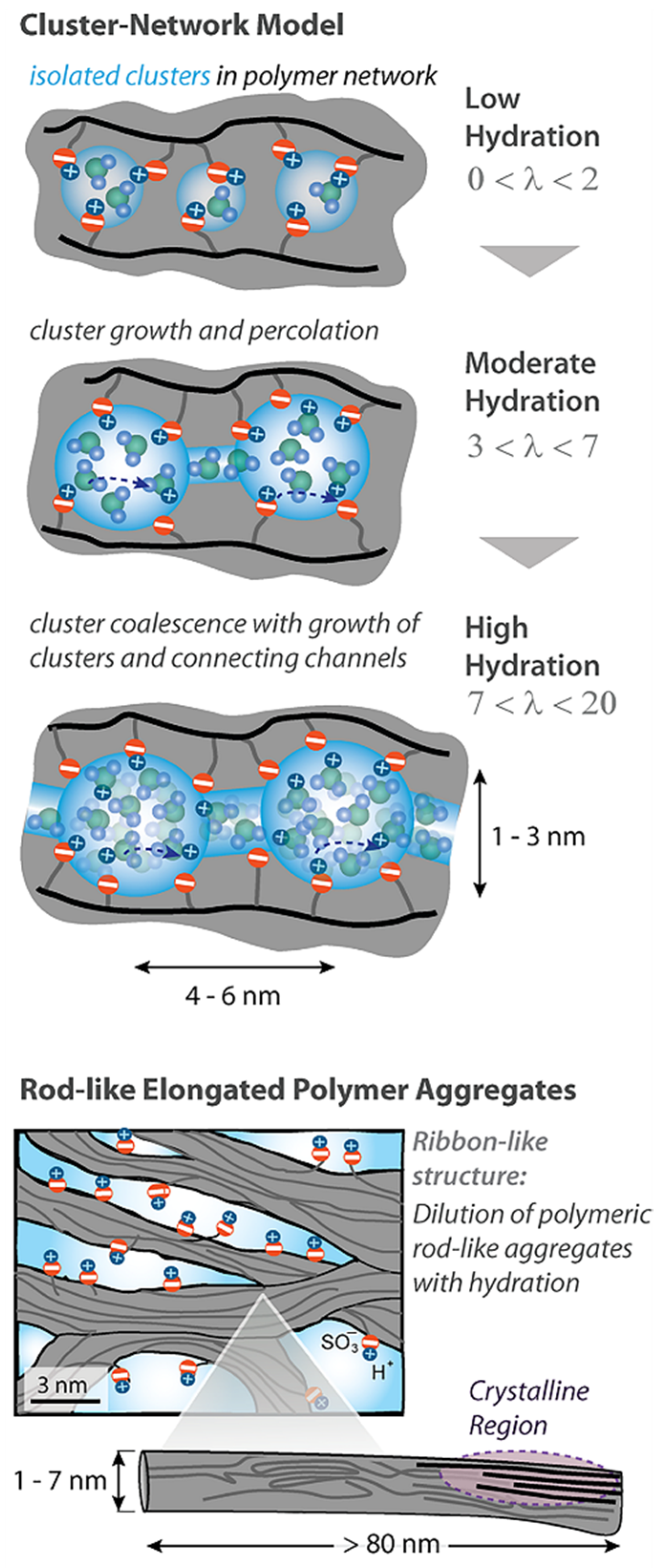 Ijms 23 05011 g003 550