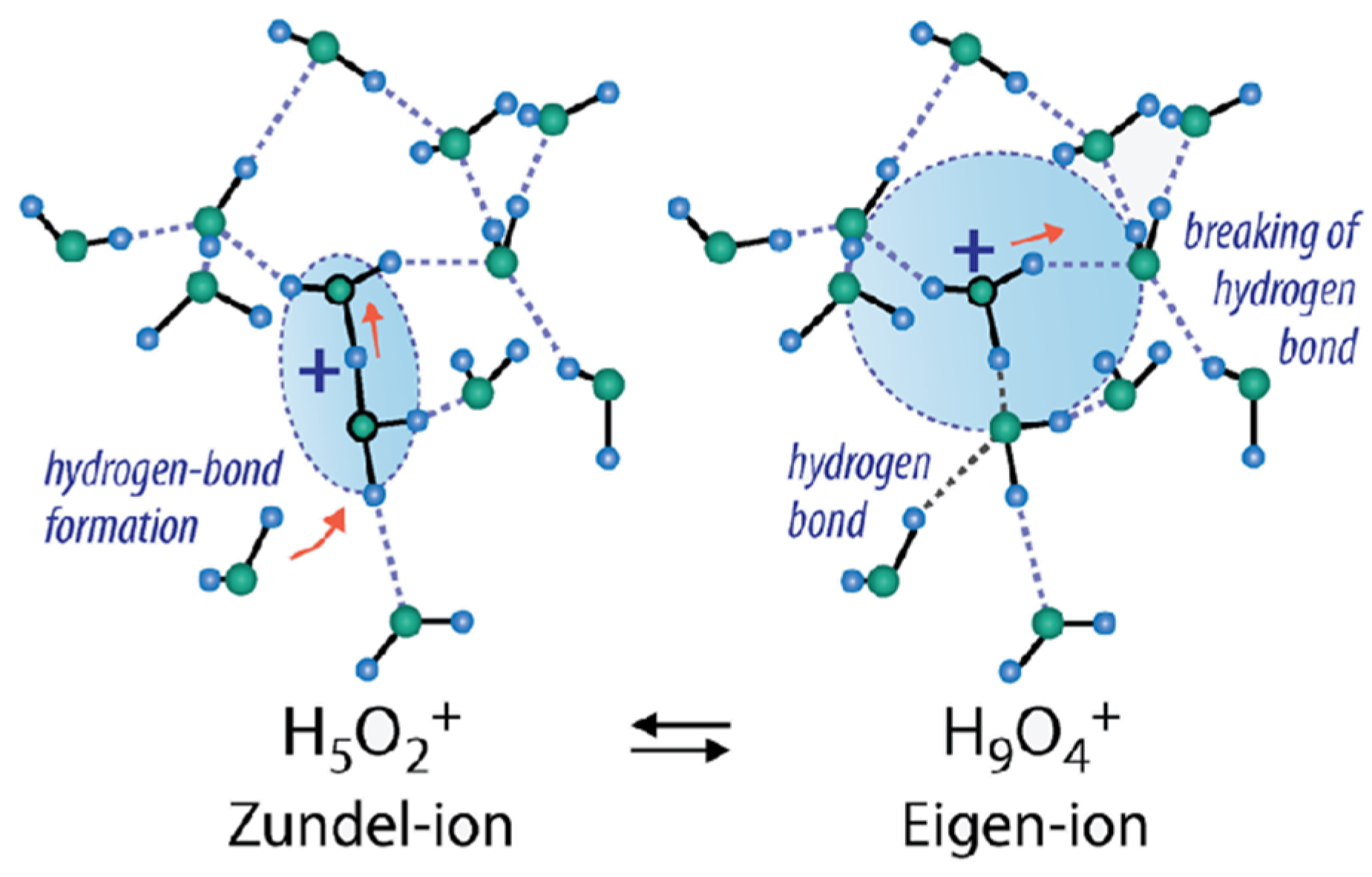 Ijms 23 05011 g009 550