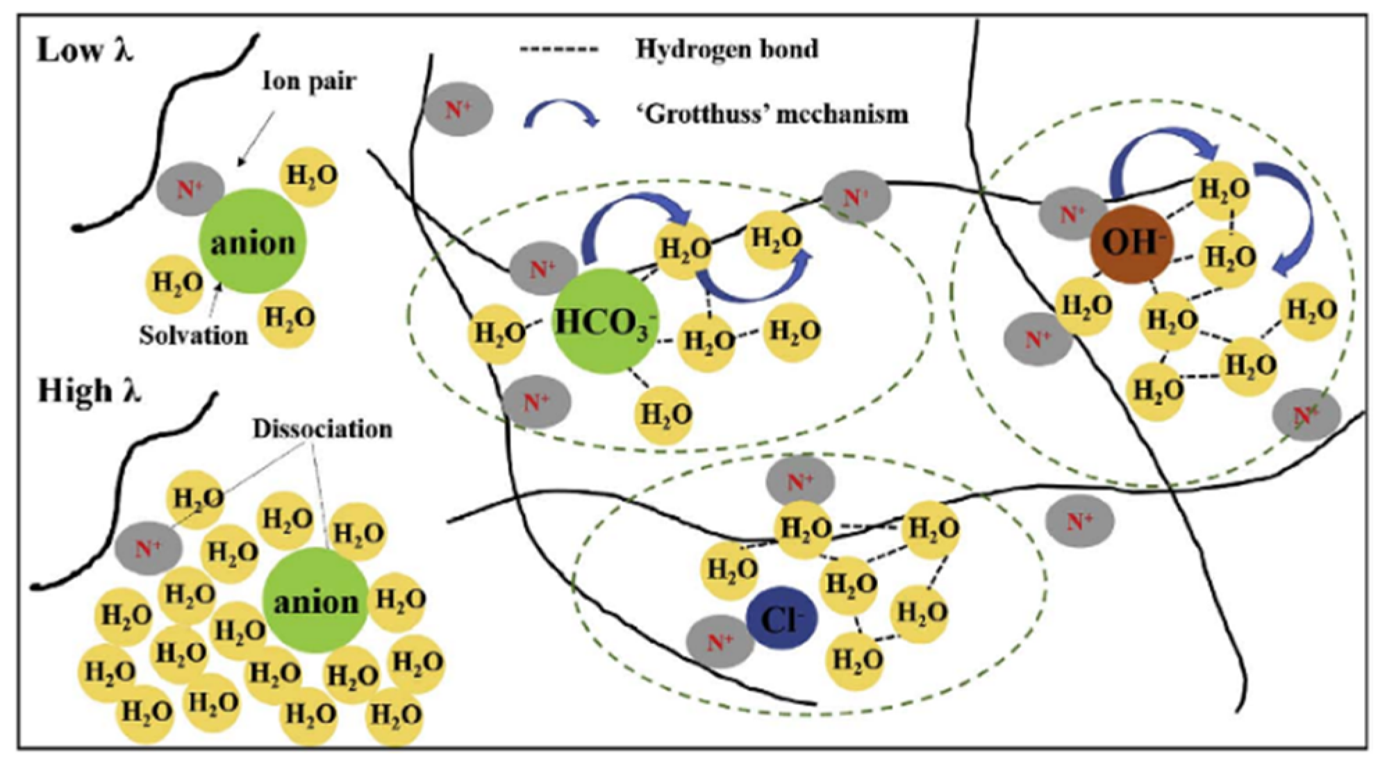 Ijms 23 05011 g039 550