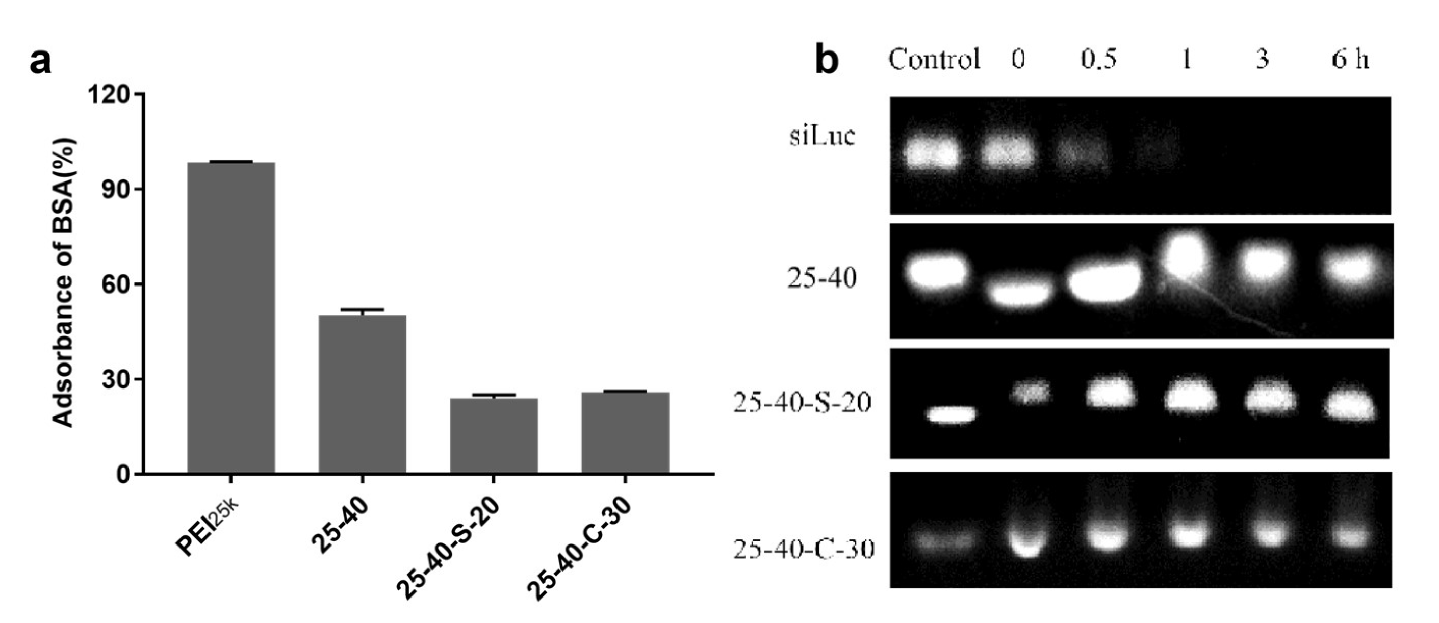 Ijms 23 05014 g005 550