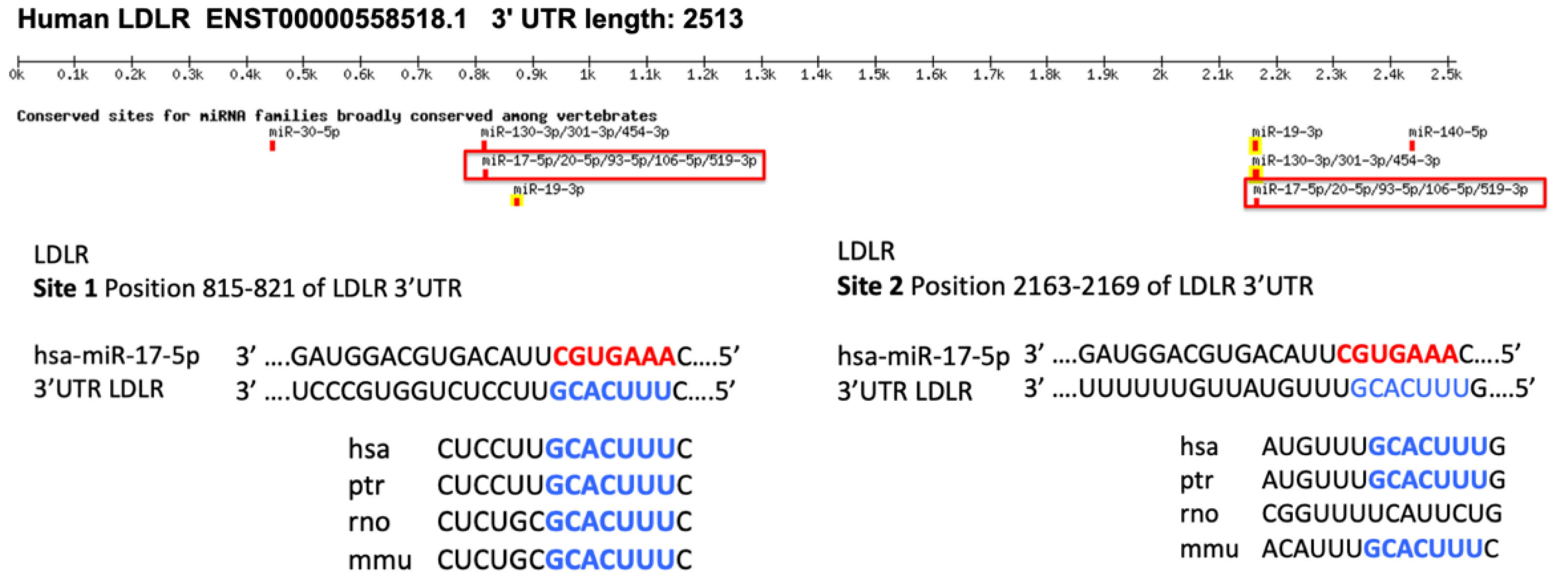 Ijms 23 05022 g003 550